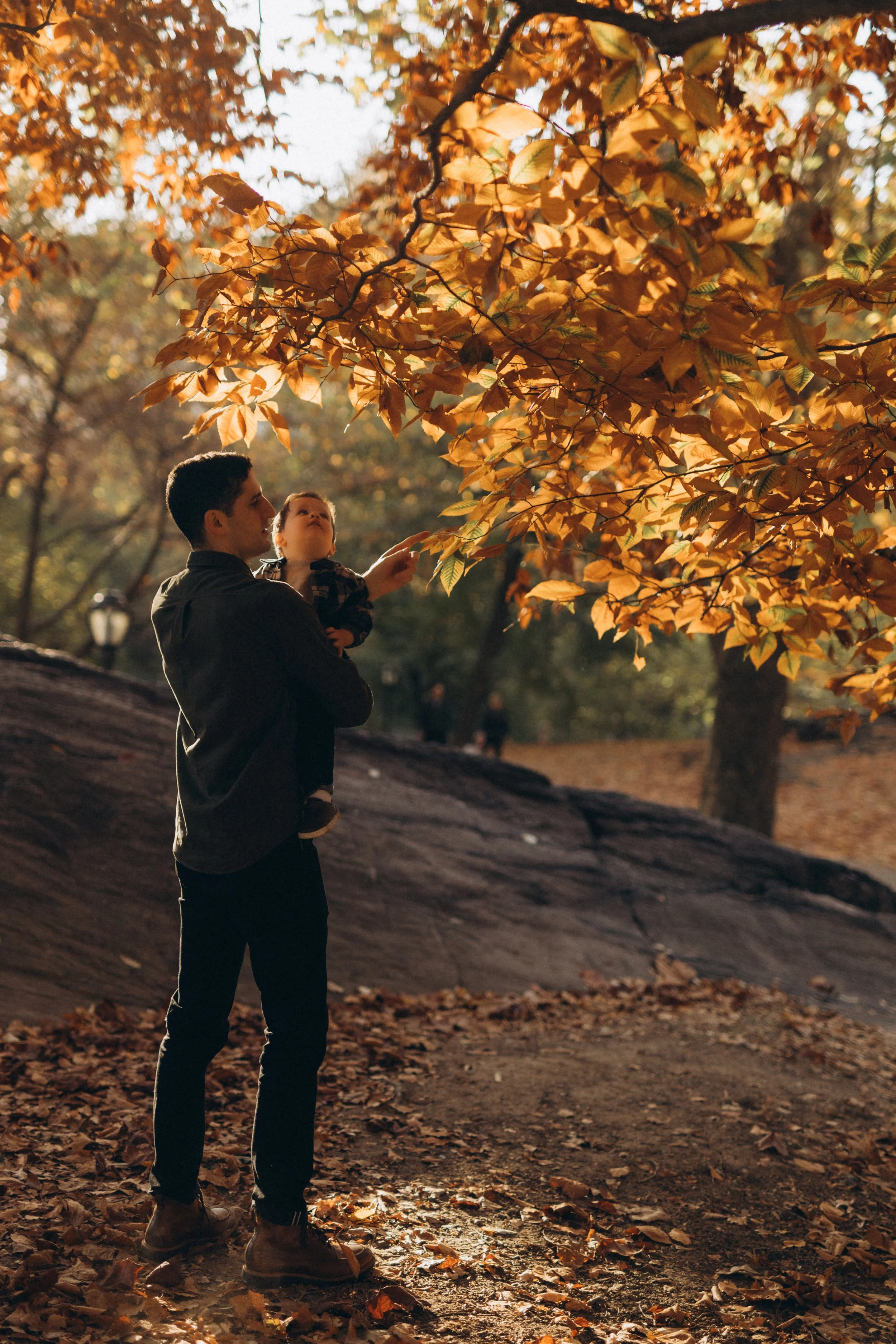 A portrait of a father holding a young child outdoors in Central Park park in autumn, pointing at the orange and yellow leaves on a tree - by Maison Mancel.