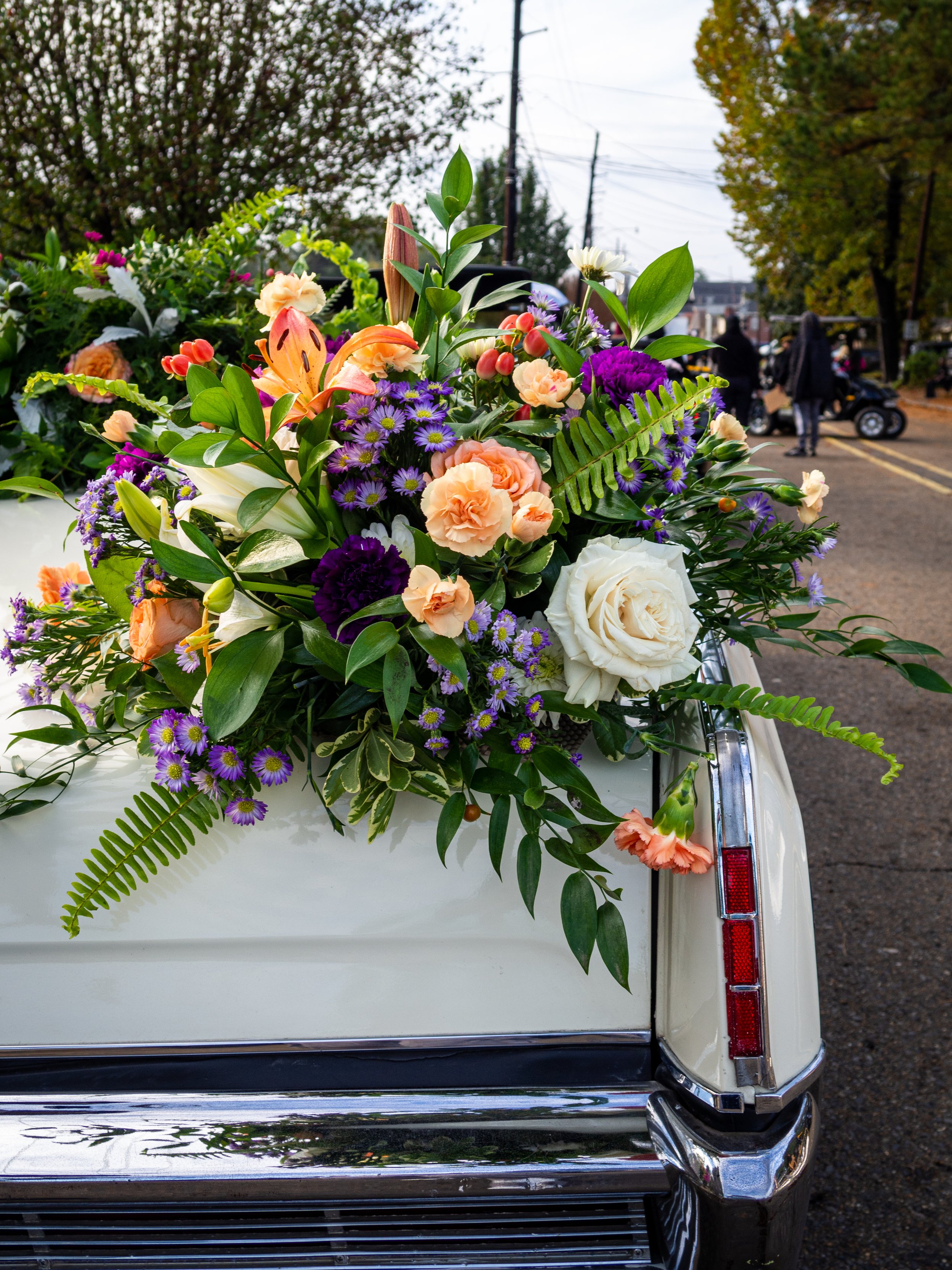 P1010003-1.jpg