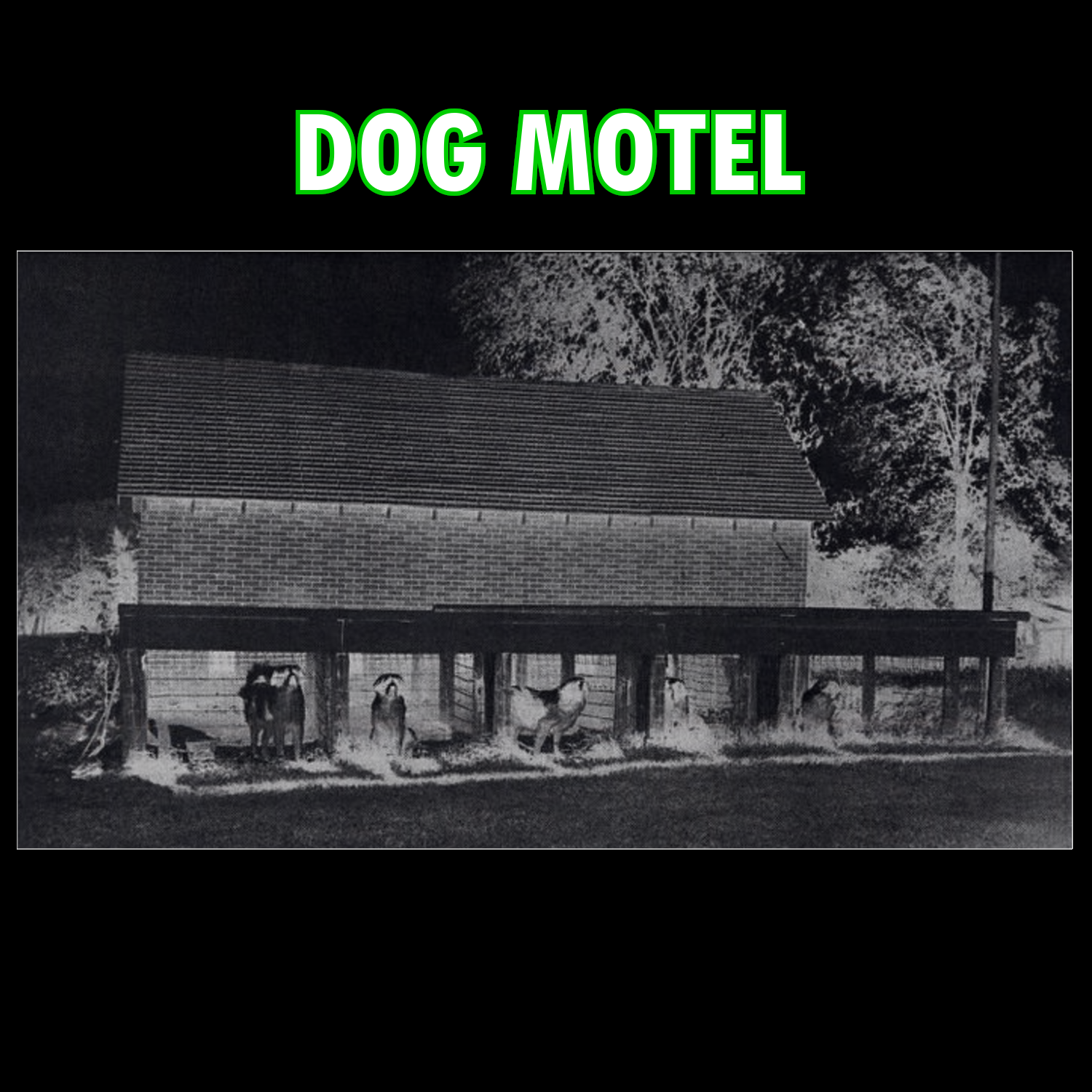 Dog Motel TEXT.png
