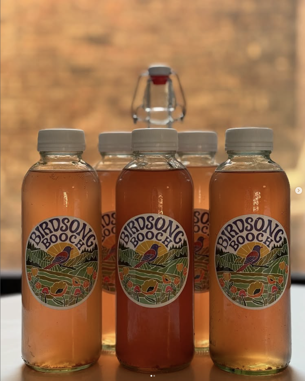 Five bottles of Blonde Birdsong Booch kombucha with a colorful nature-themed label, four in the front and one in the back, with a blurred brick wall background.