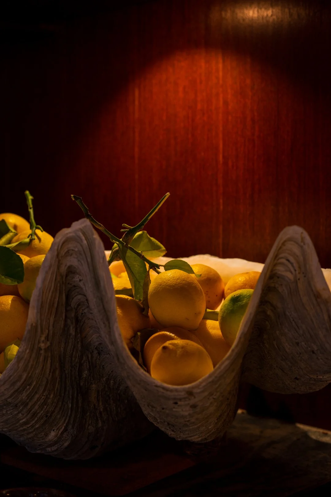 APOLLO.INN-LEMONS-JO.MCGANN-SR.jpg