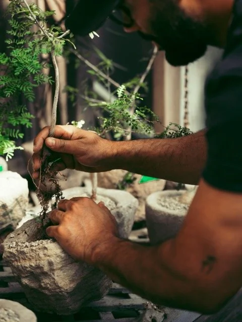 2025_10-untitled shoot0863-1 Medium.jpeg