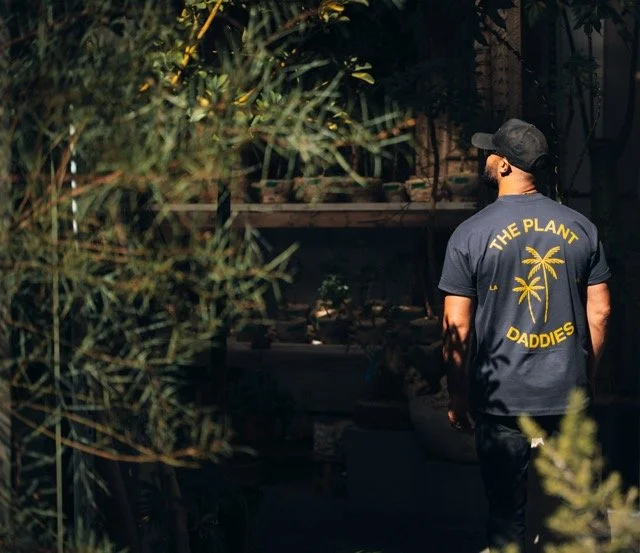 2025_10-untitled shoot0857-27 Medium.jpeg