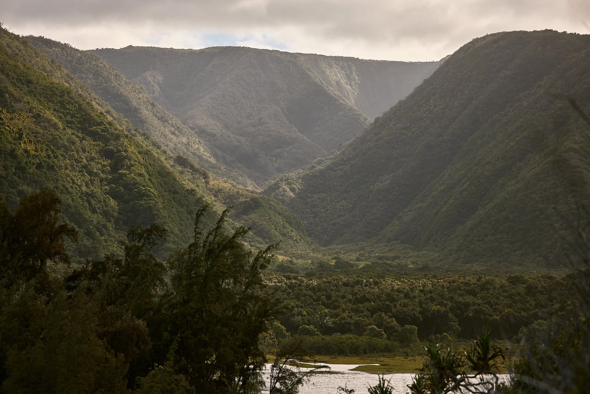 A lush green mountain valley with a river at the bottom, surrounded by steep hills covered in dense forest, under a cloudy sky.