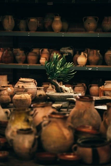 2025_10-untitled shoot0926-43 Medium.jpeg