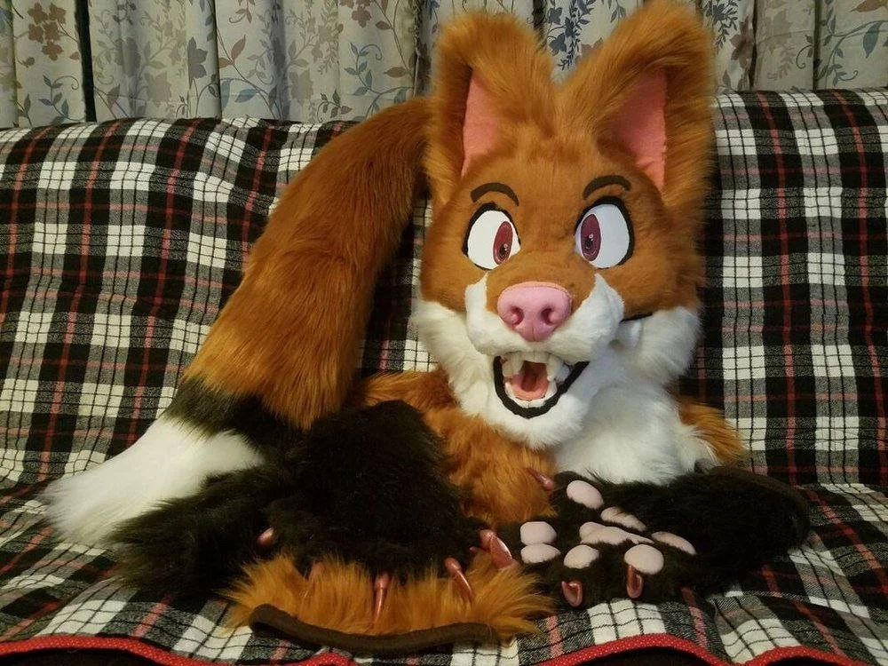 photo_2023-07-04 01.09.17.jpeg