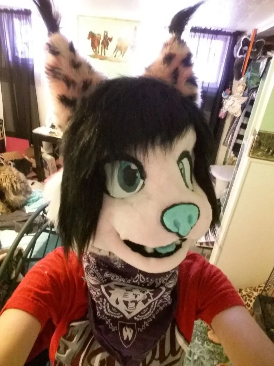 photo_2023-07-04 01.09.10.jpeg