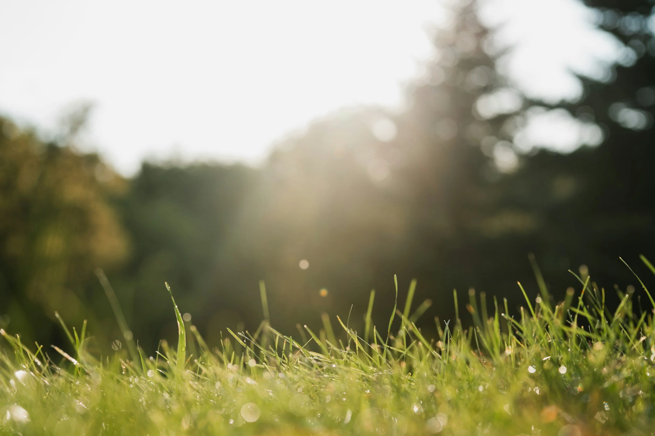 What Happens During an Adult ADHD Assessment?