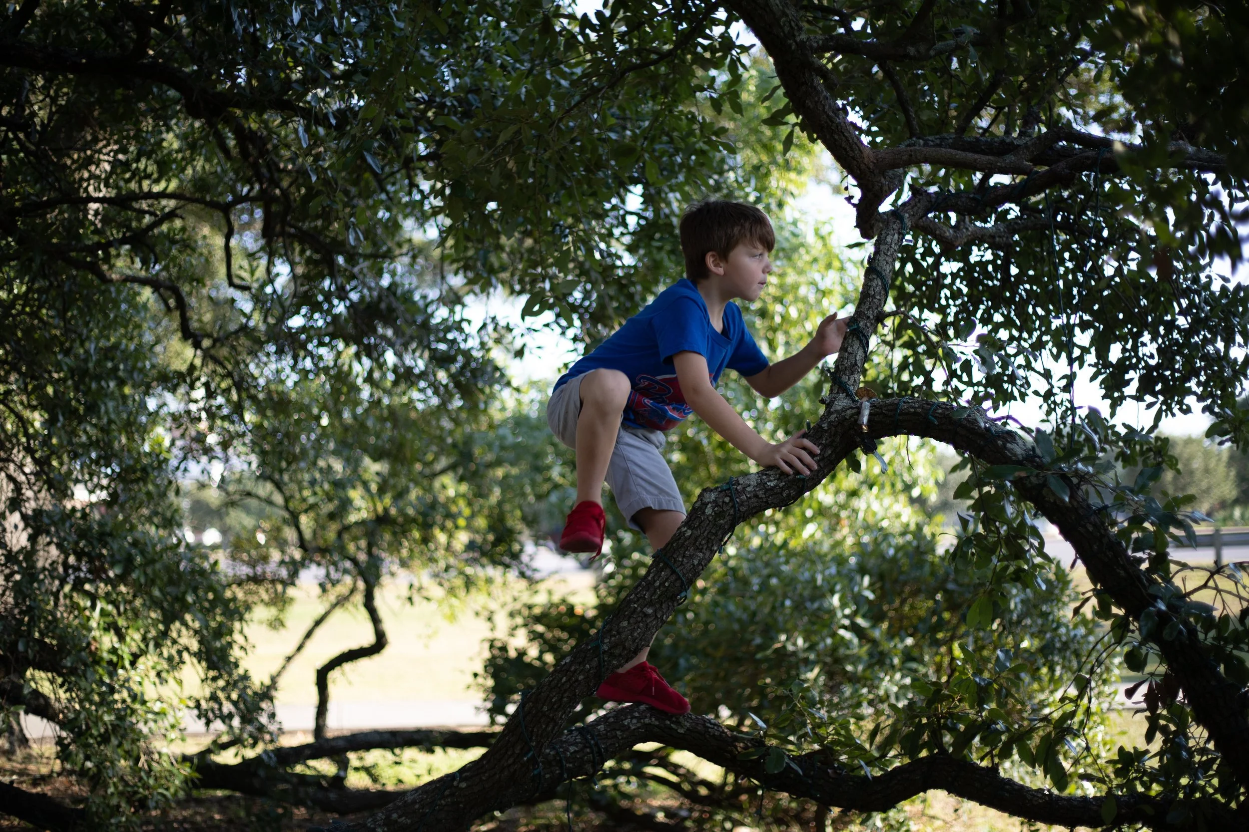 Does My Child Have ADHD?