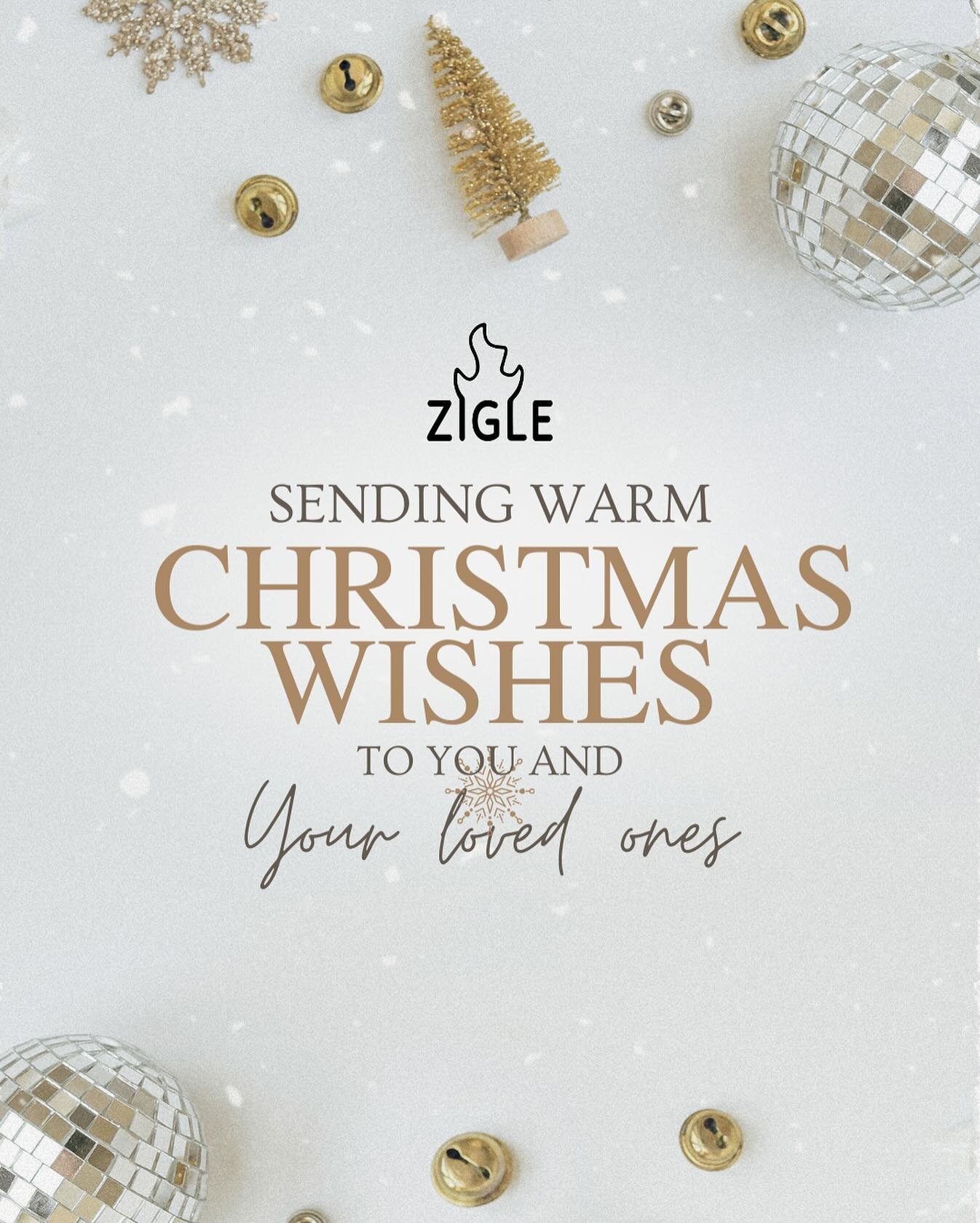 Embracing the magic of the season! Happy holidays to you and yours from all of us at ZIGLE. May this festive time be filled with joy, unity, and delightful moments. 🎄🕊️ #HappyHolidays #merrychristmas