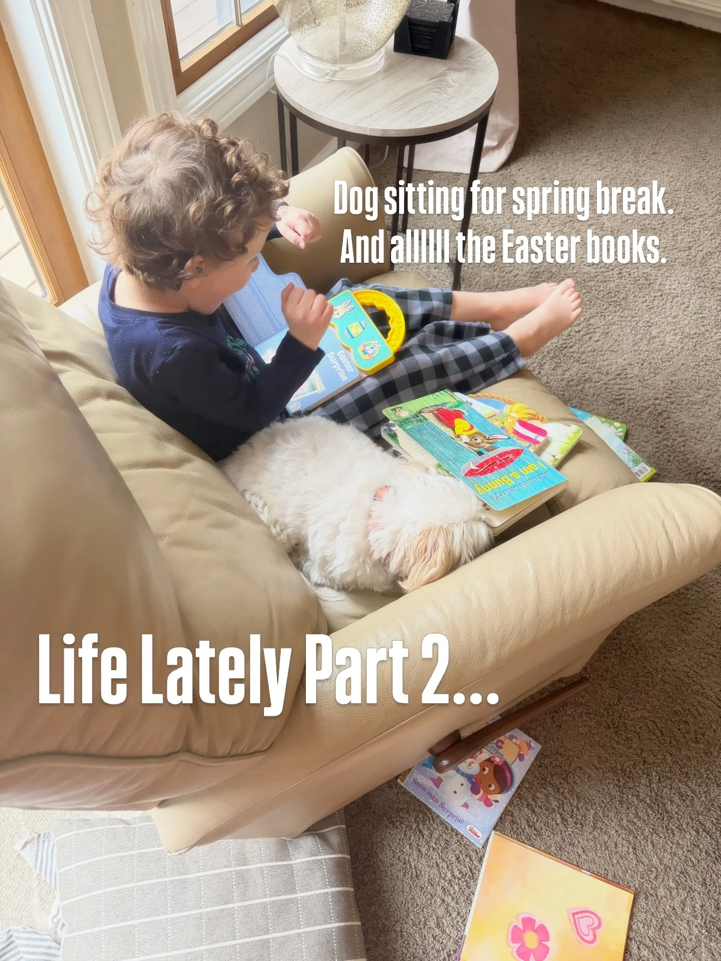 Life lately&hellip; part 2 🤍

Slow mornings.
Sick days.
Pajamas at noon.
Laundry piles.
Books on the couch.
Coffee reheated again.

A lot of home.
A lot of learning.
A lot of holding it all together.

Behind the scenes&hellip; dreaming. Building. Cr
