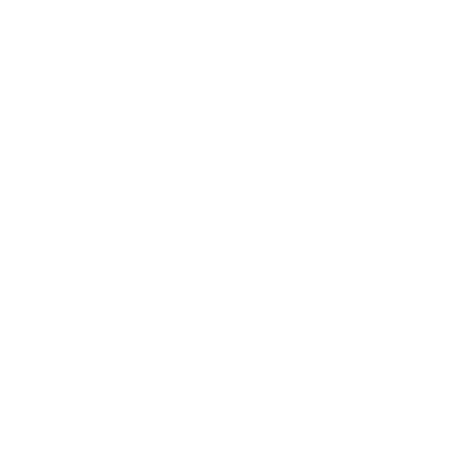 ASE RECORDS