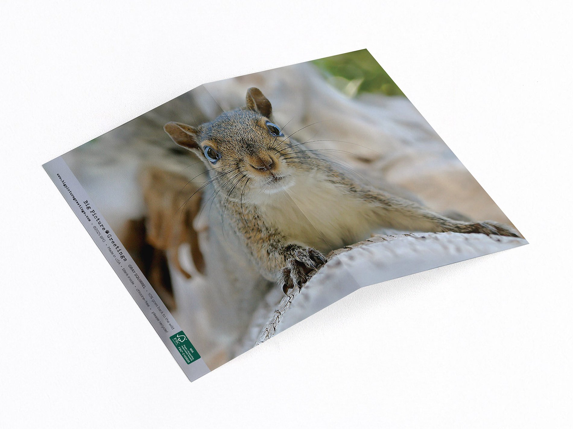 Gray Squirrel wrap around card