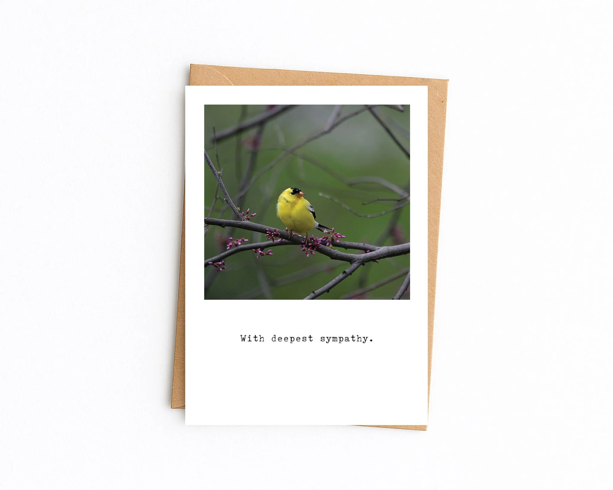 5x7 white with kraft envelope (70).jpg