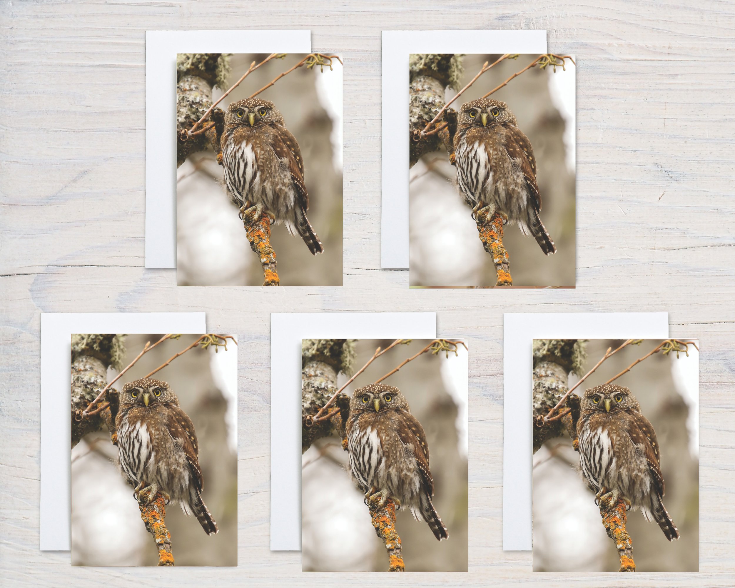 Untitled design - 2024-10-20T074138.075.jpg