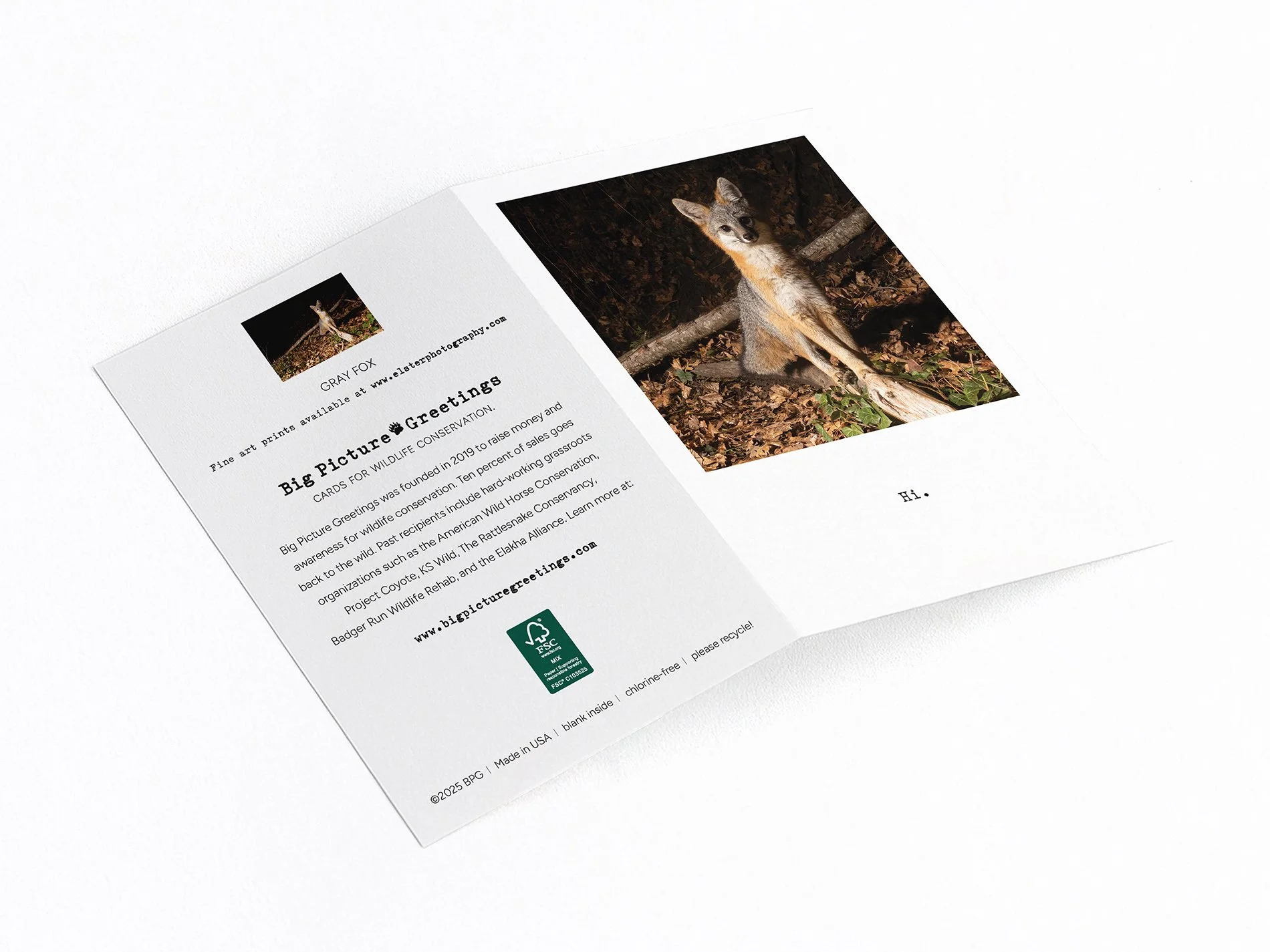 Fox Hi low res jpeg.jpg