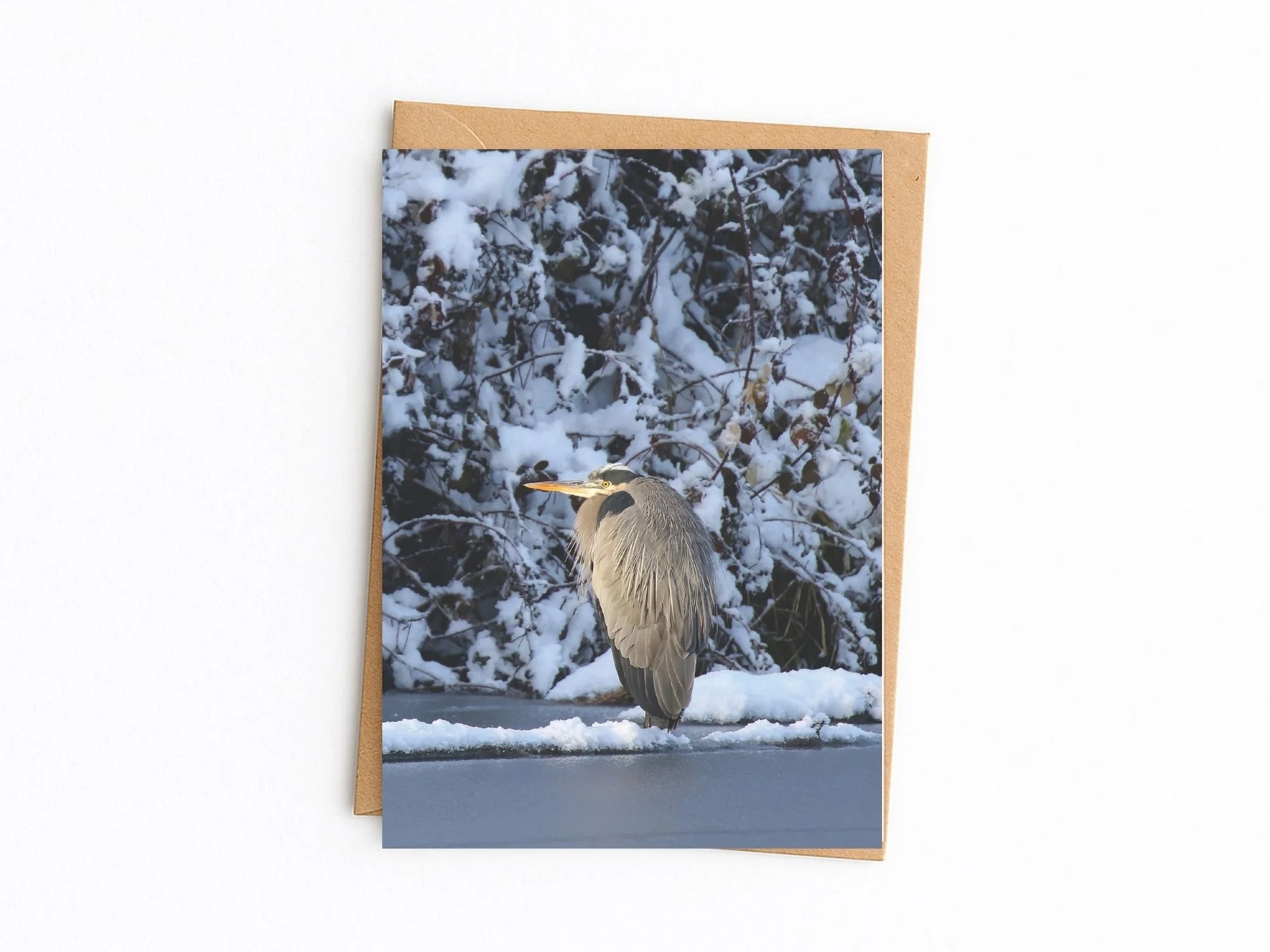 heron in snow kraft env.jpg