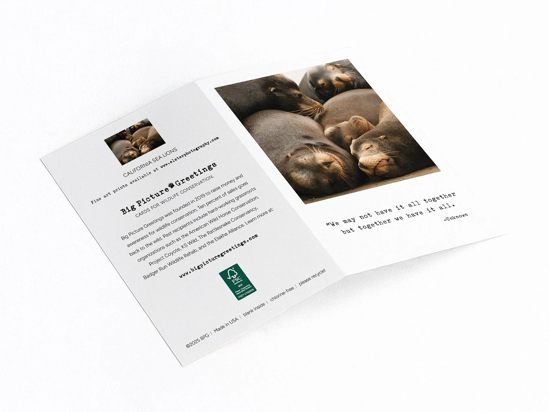 all together finished mock jpeg.jpg