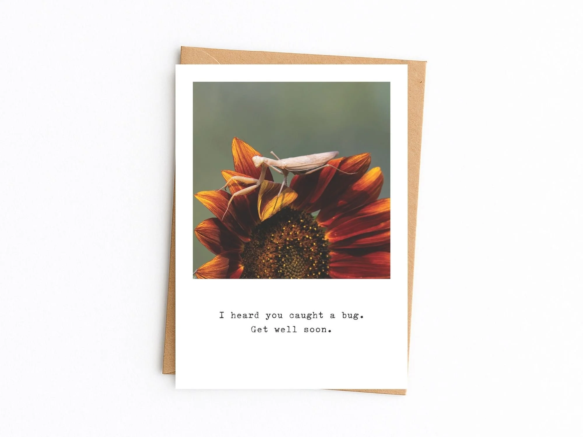 Get Well card - Praying Mantis