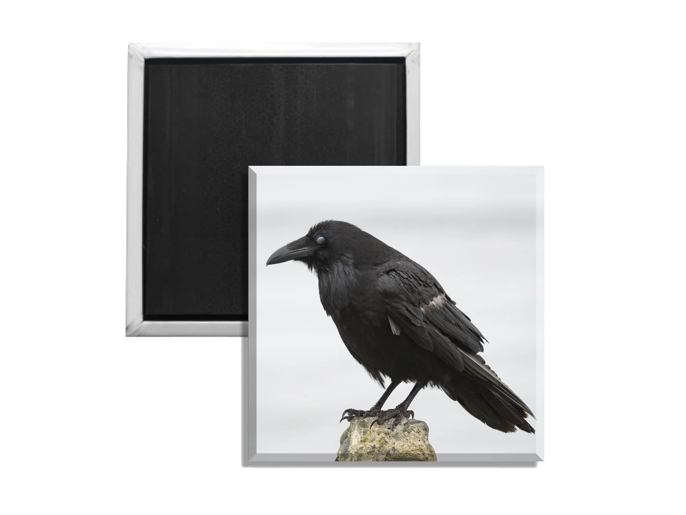 Raven Four.jpg