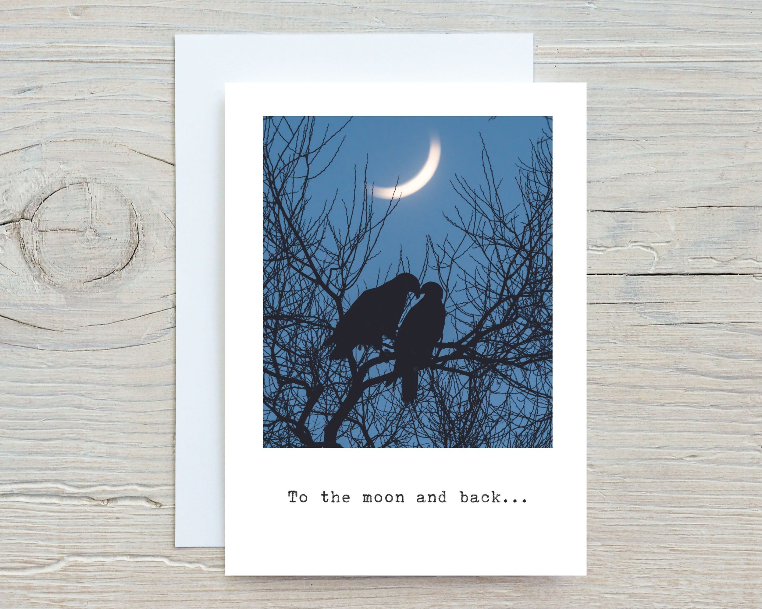 To the Moon