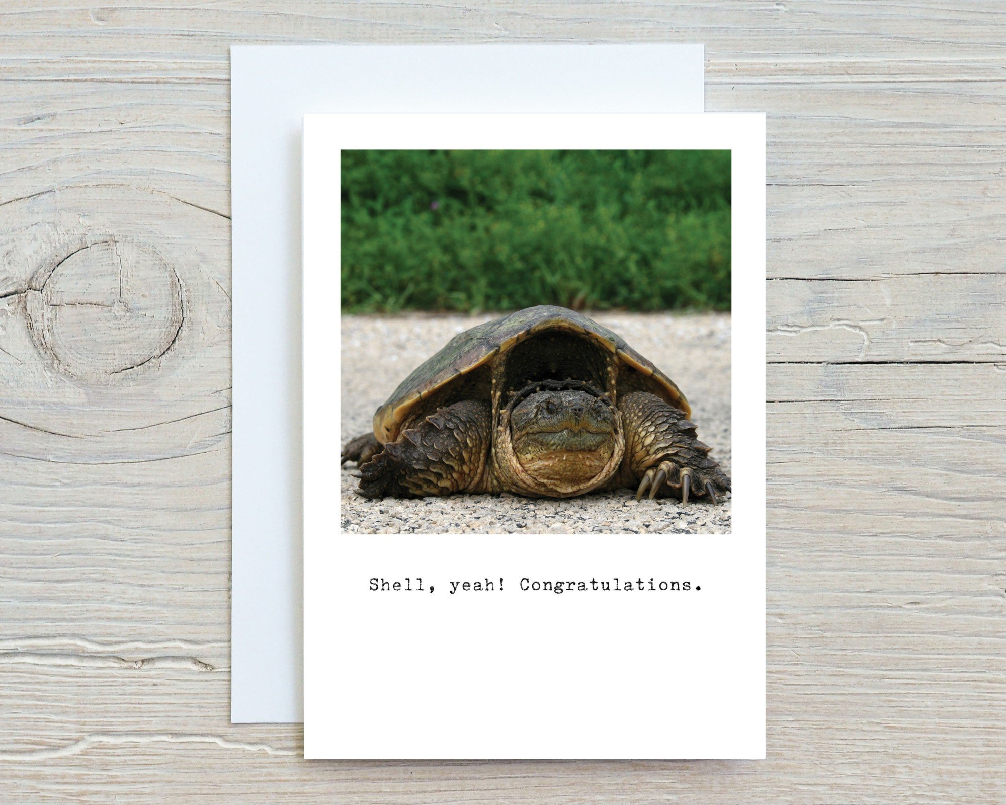 Shell, yeah!