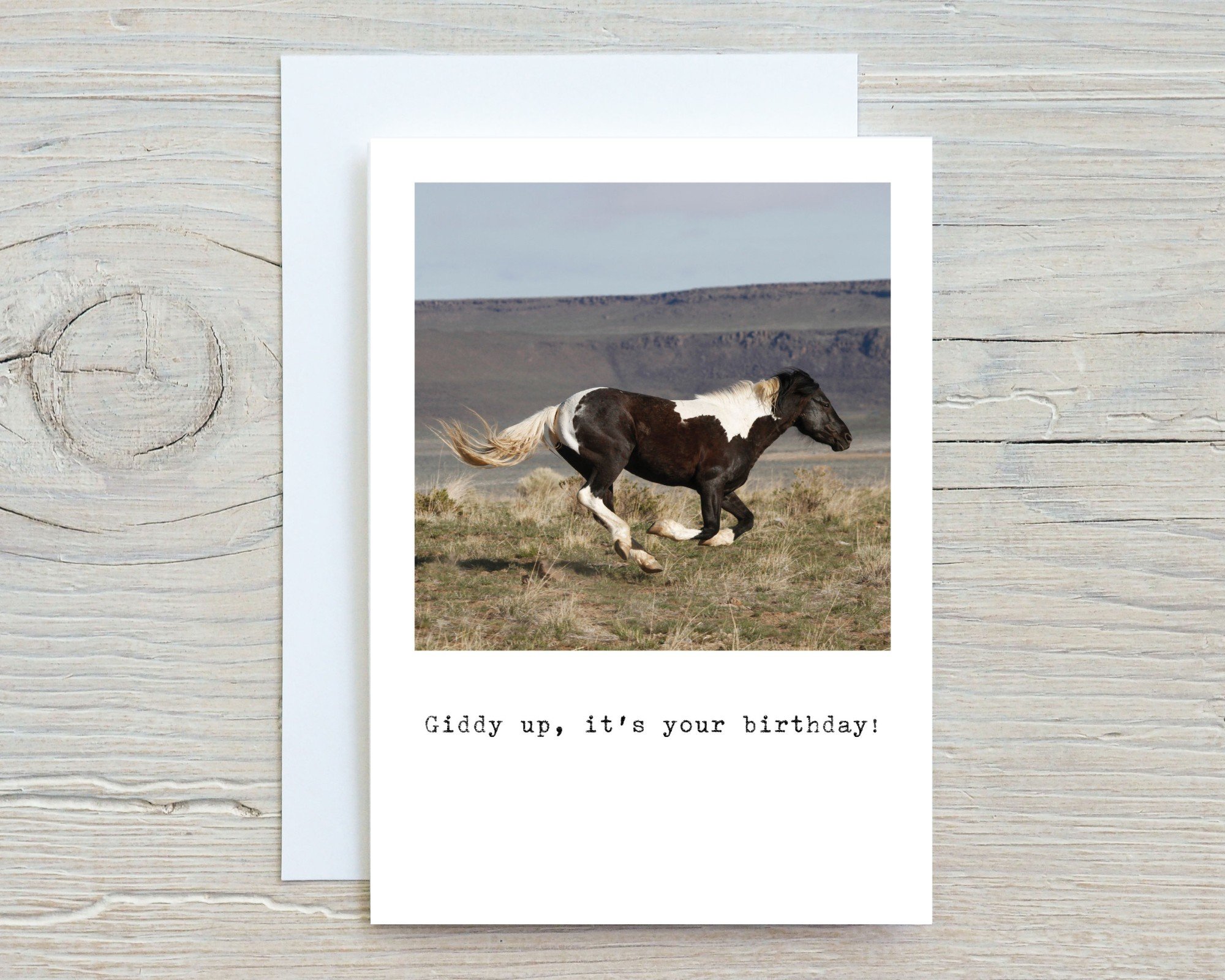 Giddy Up Birthday