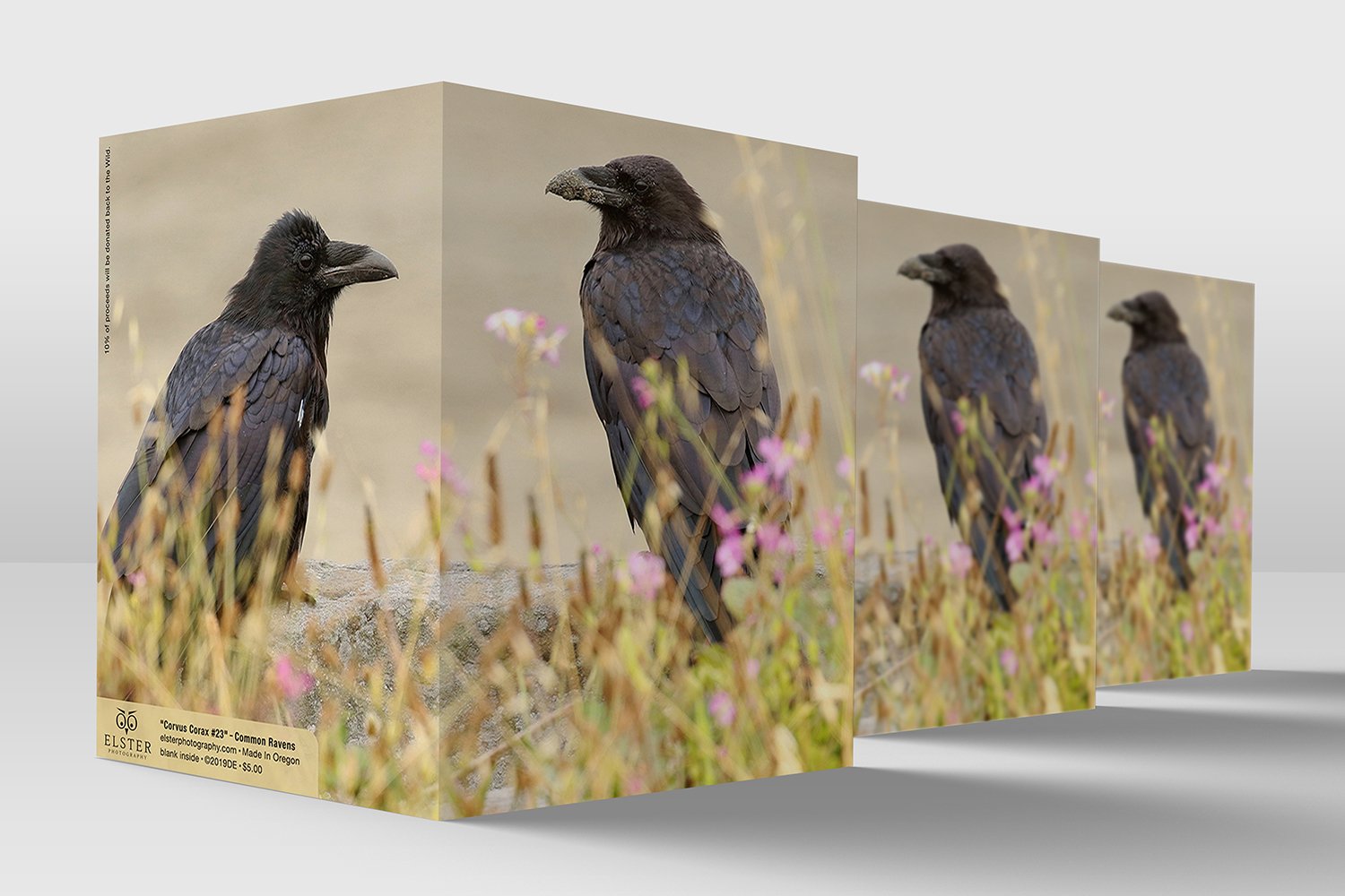 BPGO004-Common-Ravens-All-Occasion-Card.jpg
