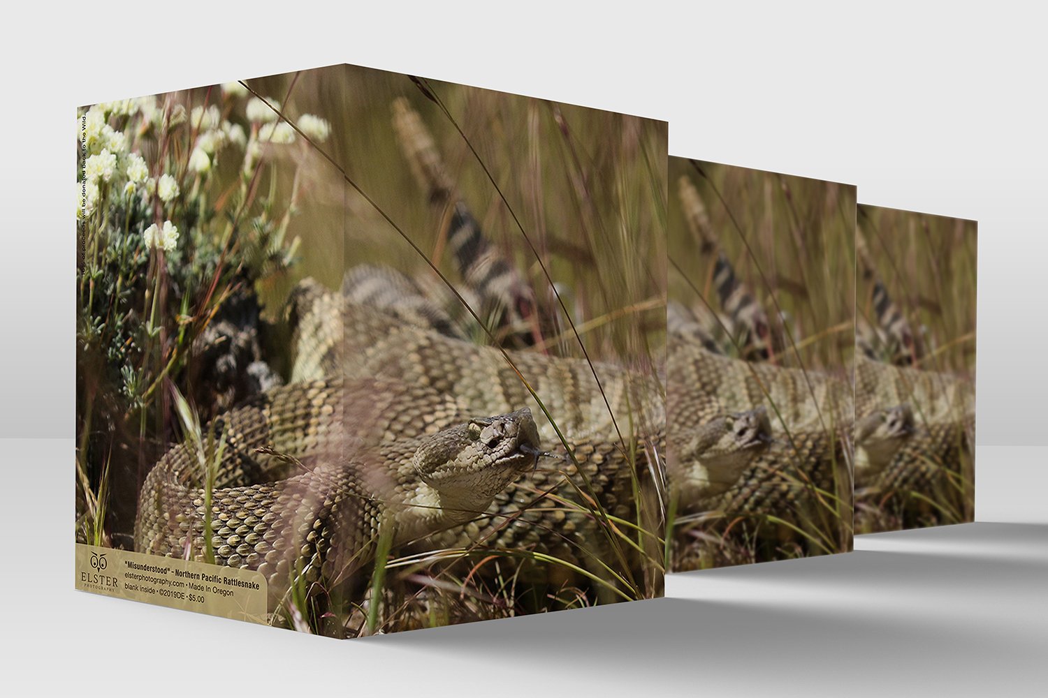 BPGO013-Northern-Pacific-Rattlesnake-All-Occasion-Card.jpg