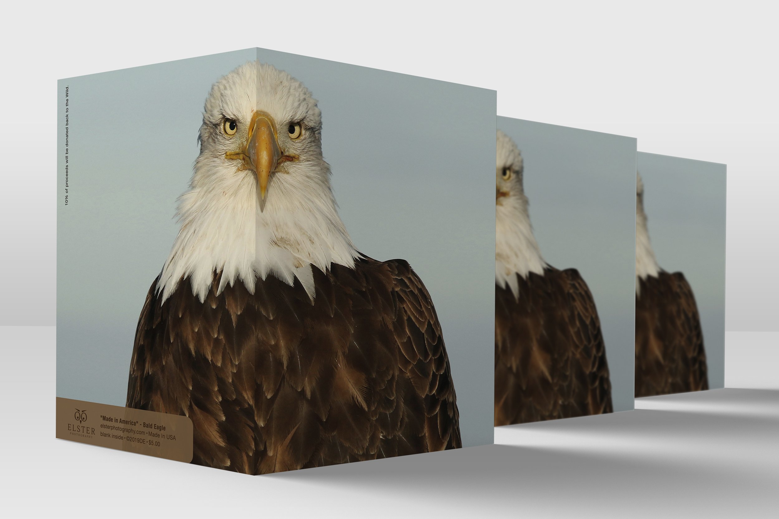 BPGO025-Bald-Eagle-All-Occasion-Card.jpg