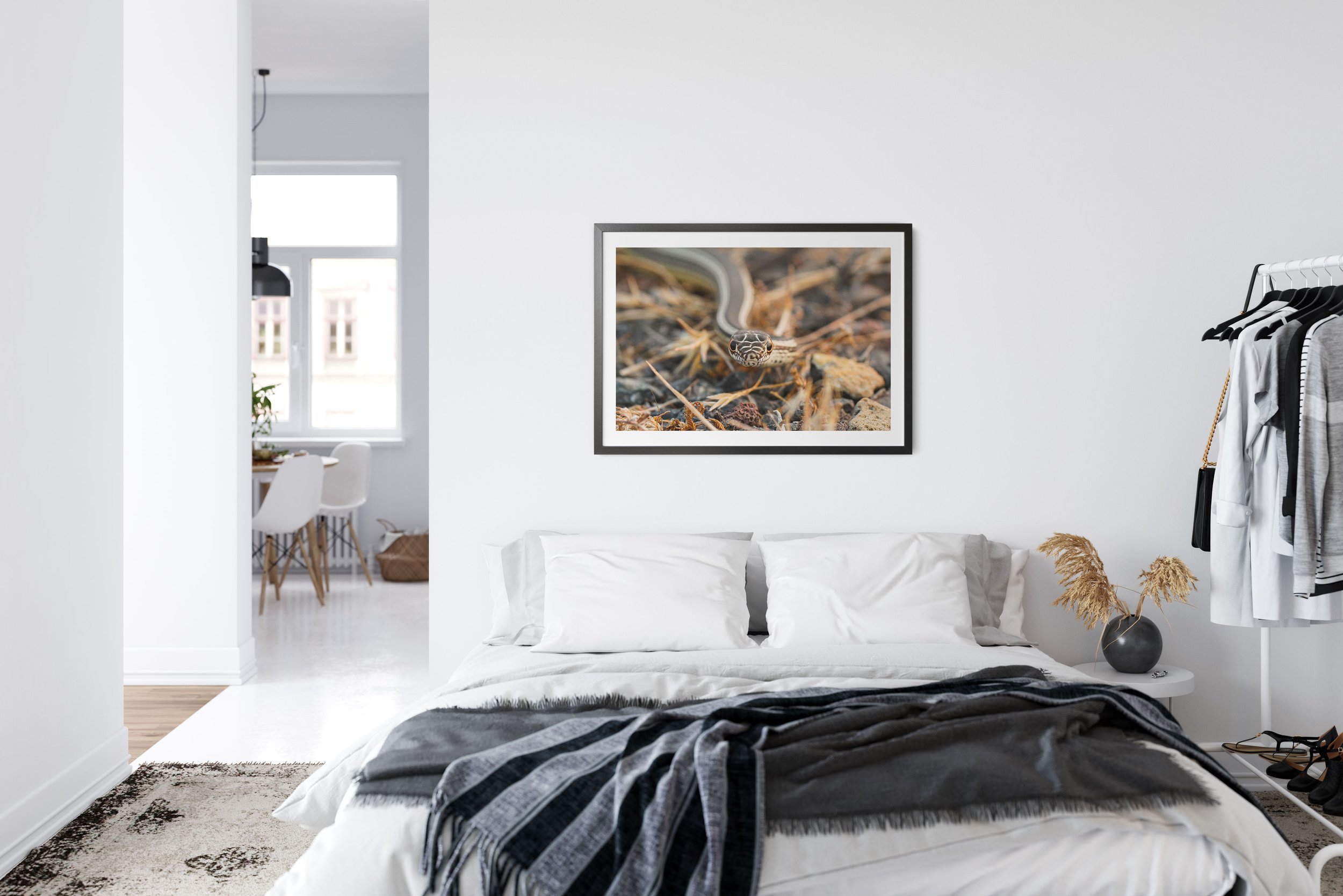 EPFA028-Striped-Whip-Snake-Bedroom.jpg