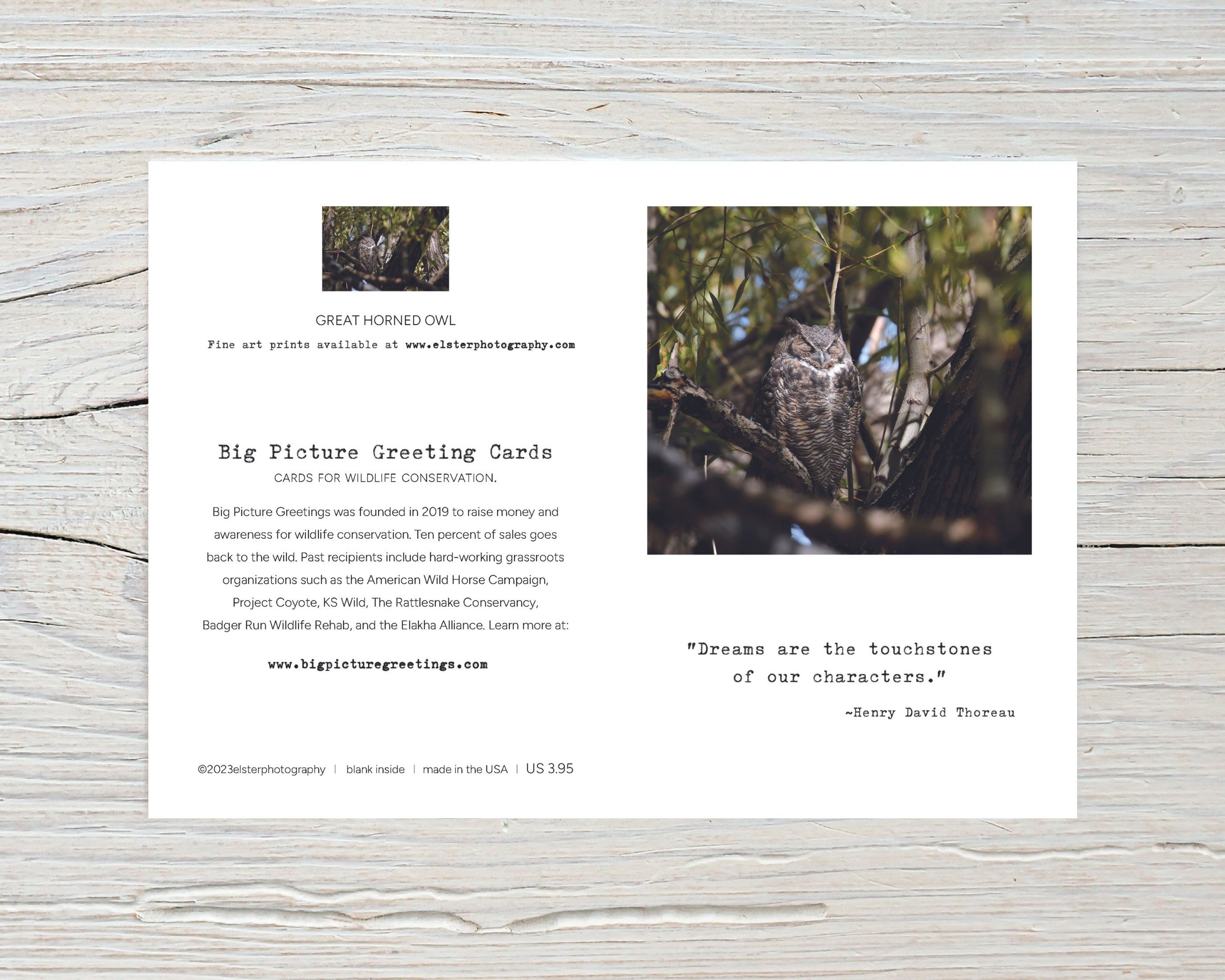 BPGM007-Great-Horned-Owl-All-Occasion-Card-flat.jpg
