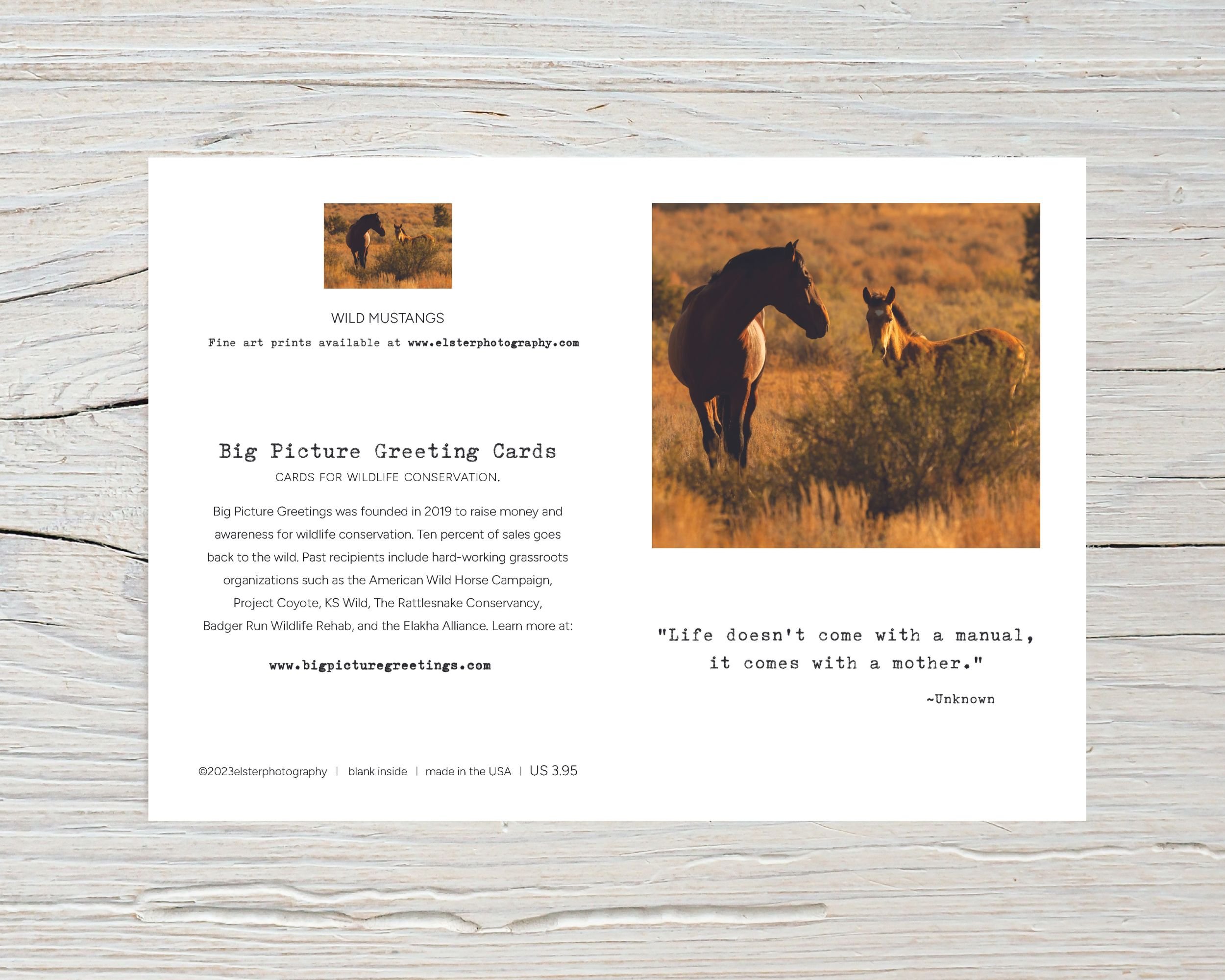 BPGM016-Wild-Mustangs-Mothers-Day-Card-flat.jpg