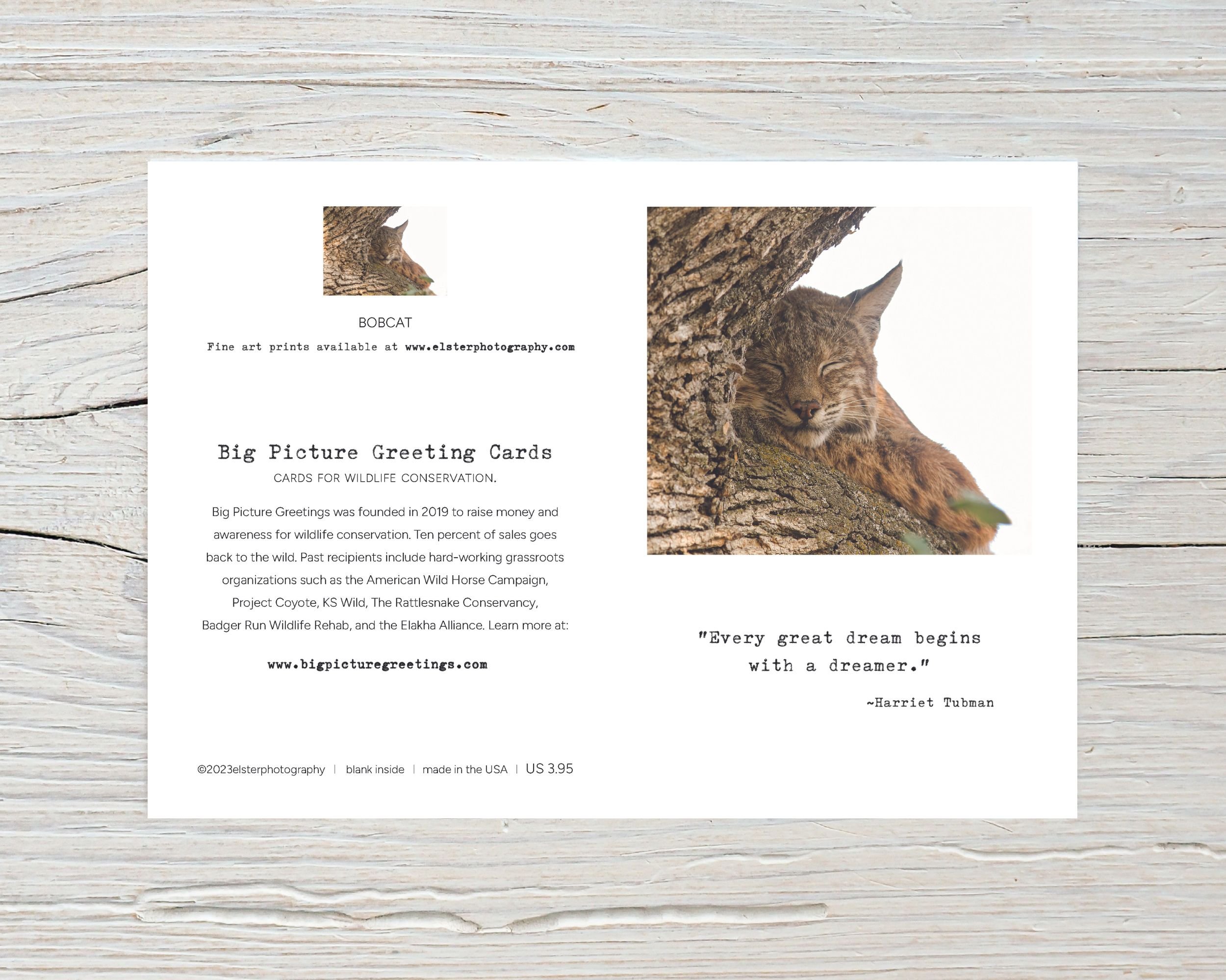 BPGM020-Bobcat-All-Occasion-Card-flat.jpg