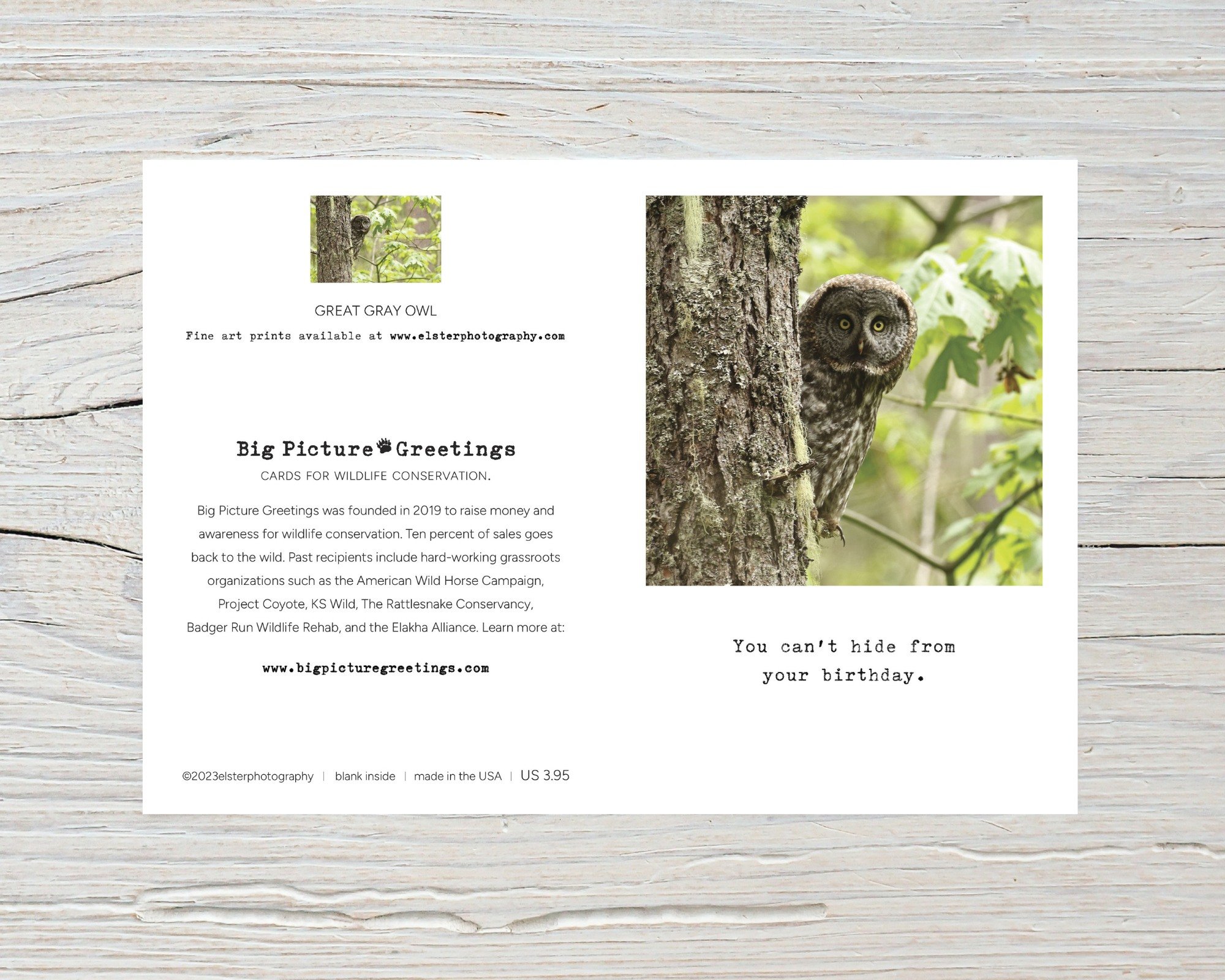 BPGM033-Great-Gray-Owl-Birthday-Card-flat.jpg