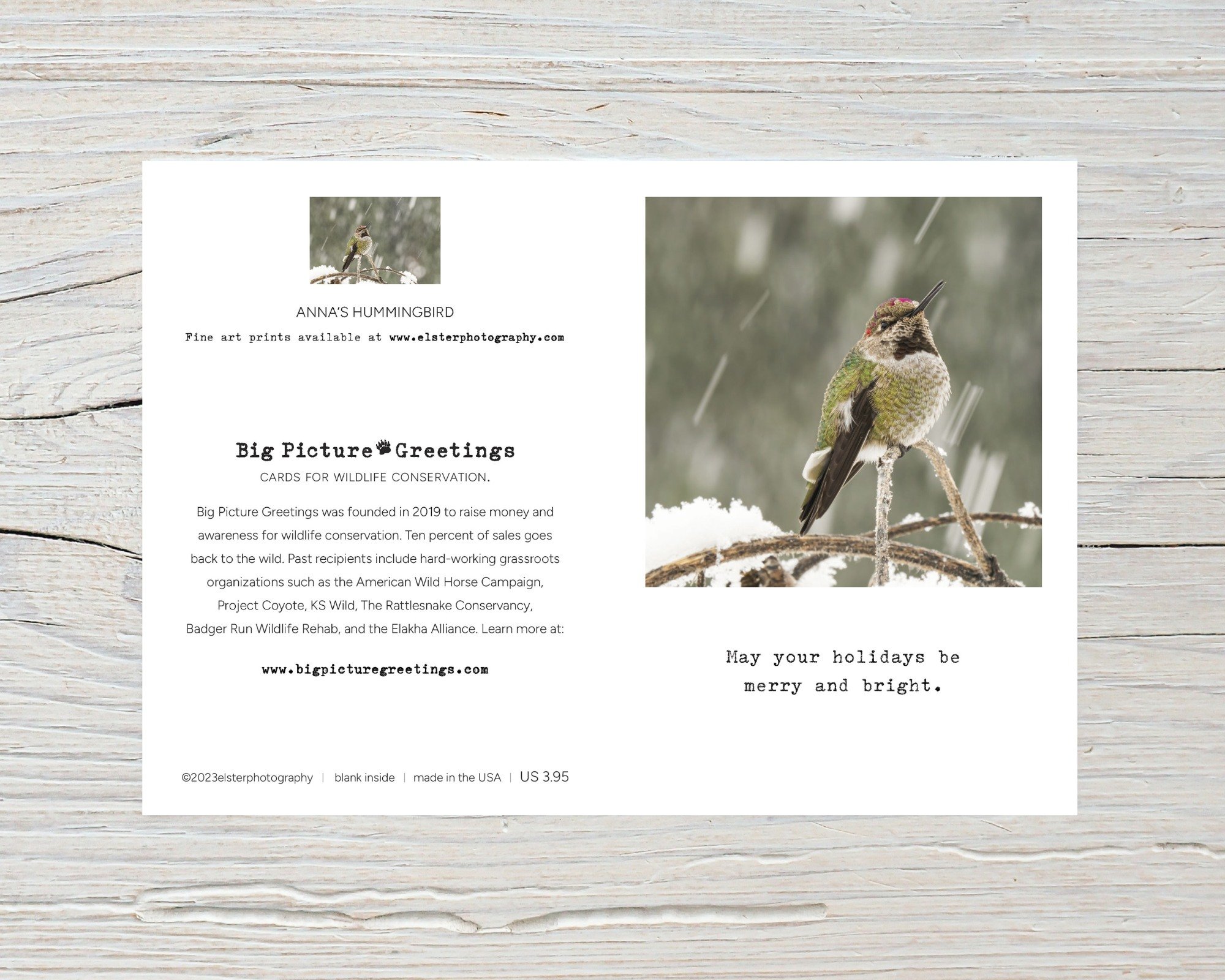 BPGM035-Annas-Hummingbird-Holiday-Card-flat.jpg