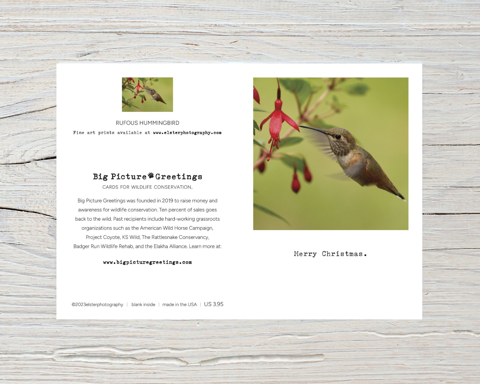 BPGM036-Rufous-Hummingbird-Christmas-Card-flat.jpg