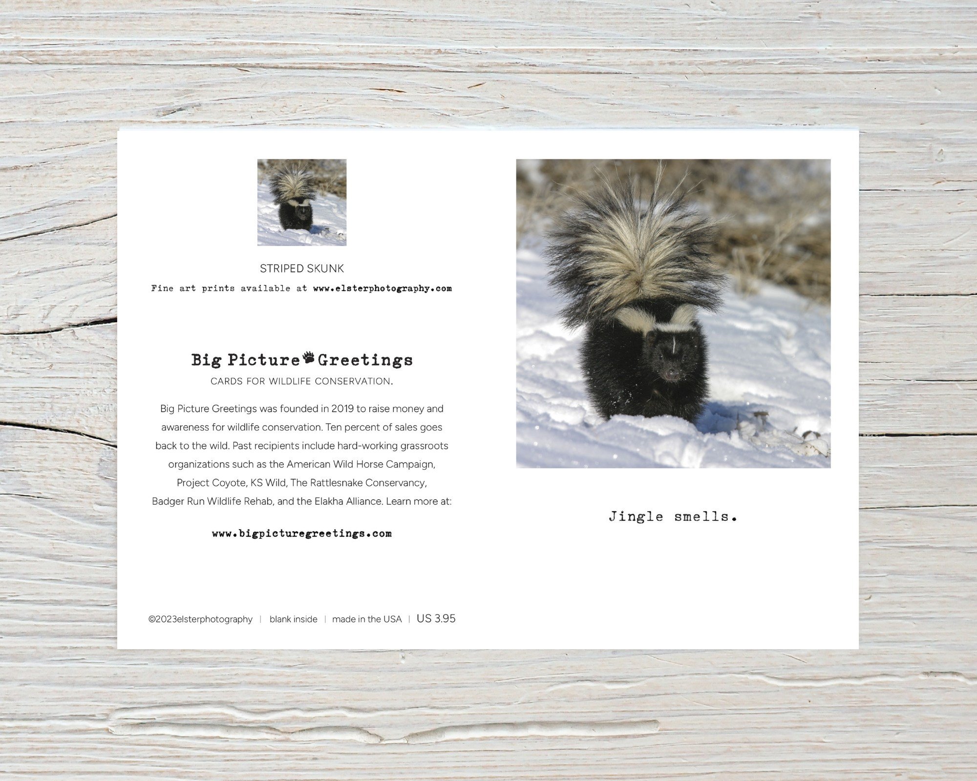 BPGM039-Striped-Skunk-Holiday-Card-flat.jpg