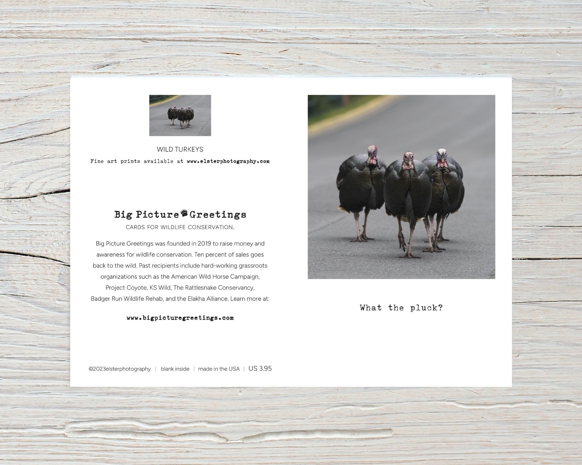 BPGM042-Wild-Turkeys-Thanksgiving-Card-flat.jpg