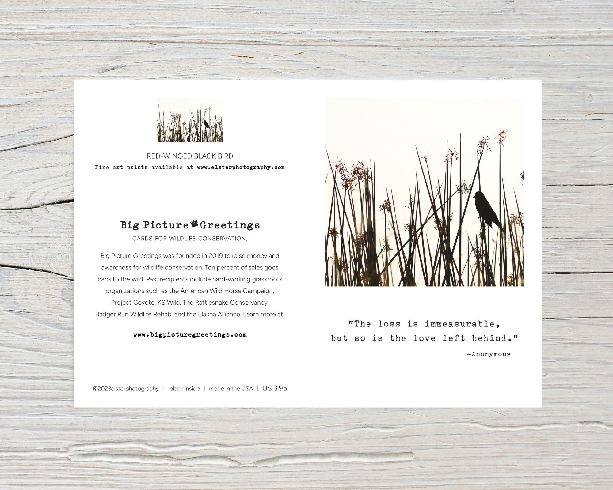 BPGM044-Red-winged-blackbird-Sympathy-Card-flat.jpg