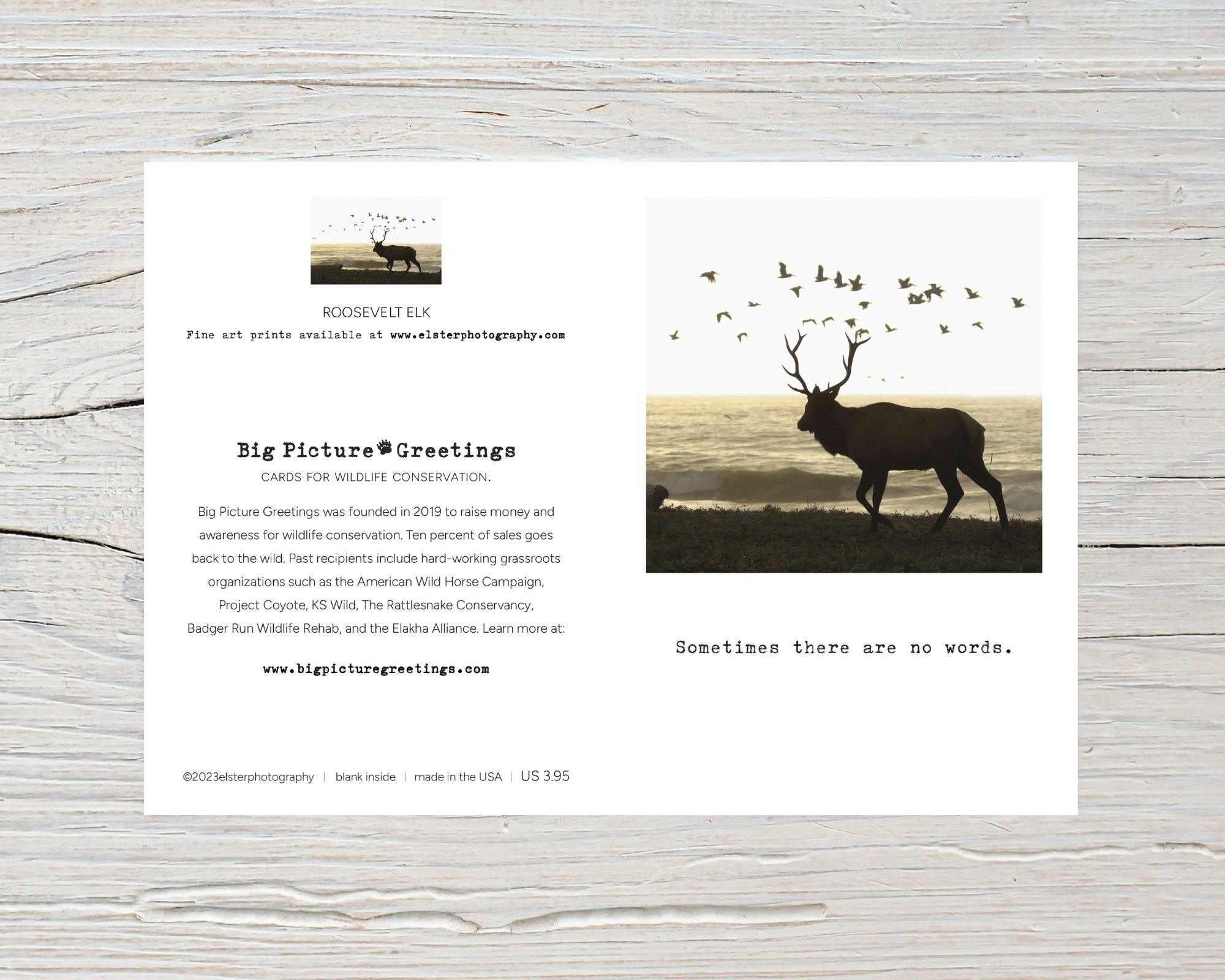 BPGM045-Roosevelt-Elk-Sympathy-Card-flat.jpg
