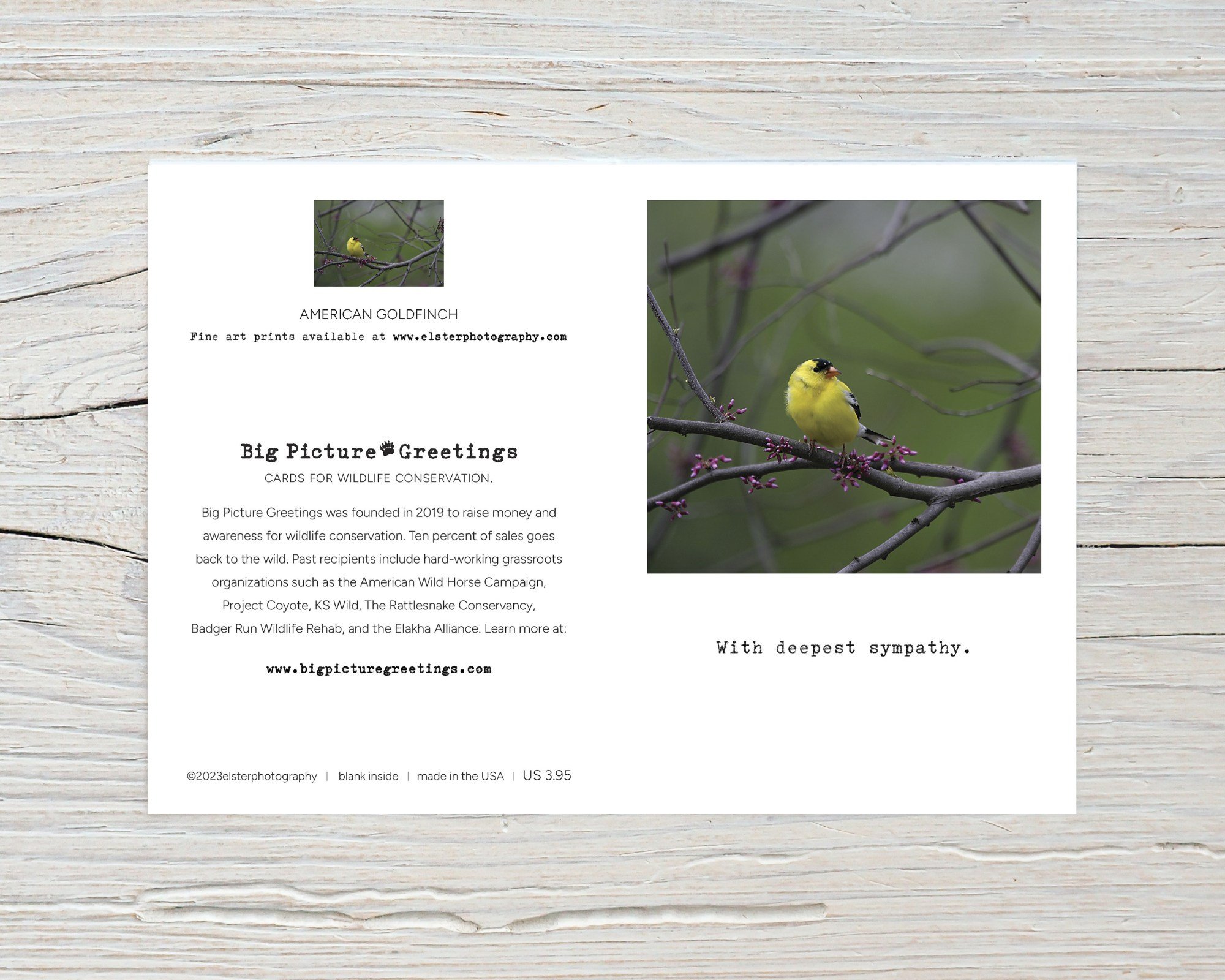 BPGM046-American-Goldfinch-Sympathy-Card-flat.jpg