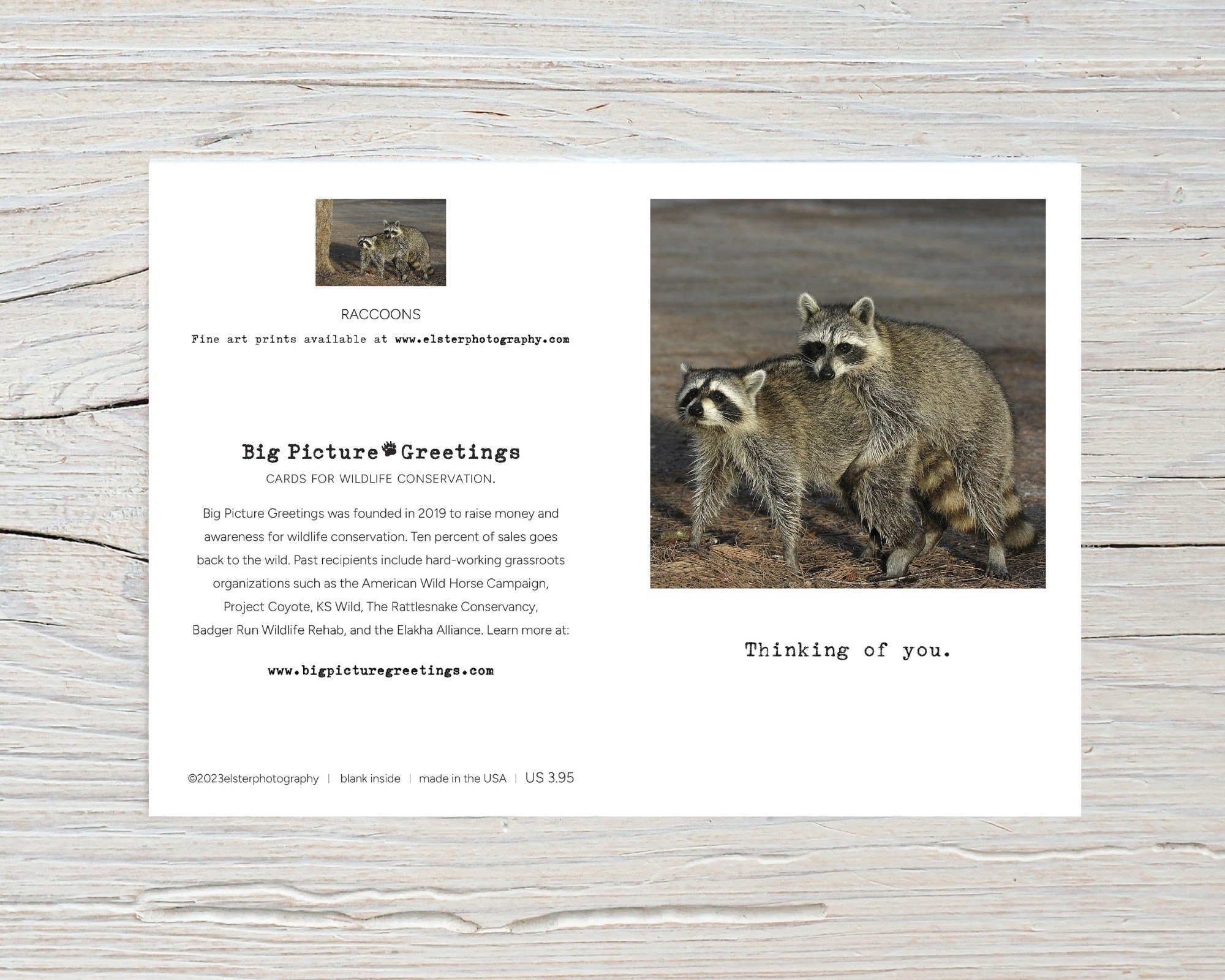 BPGM054-Raccoons-Thinking-of-you-Card-flat.jpg