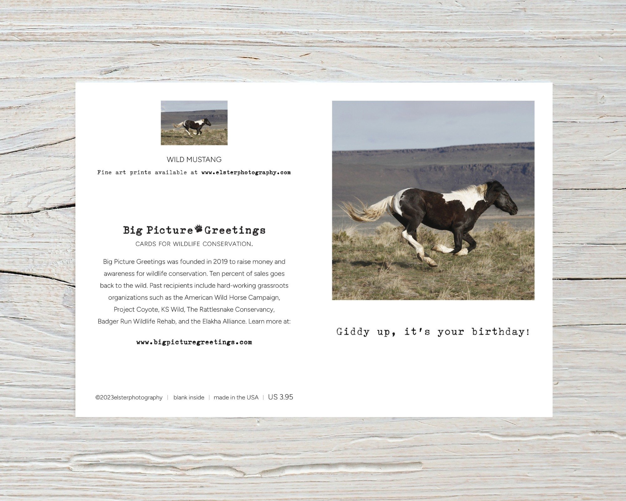 BPGM055-Wild-Mustang-Giddyup-Birthday-Card-flat.jpg