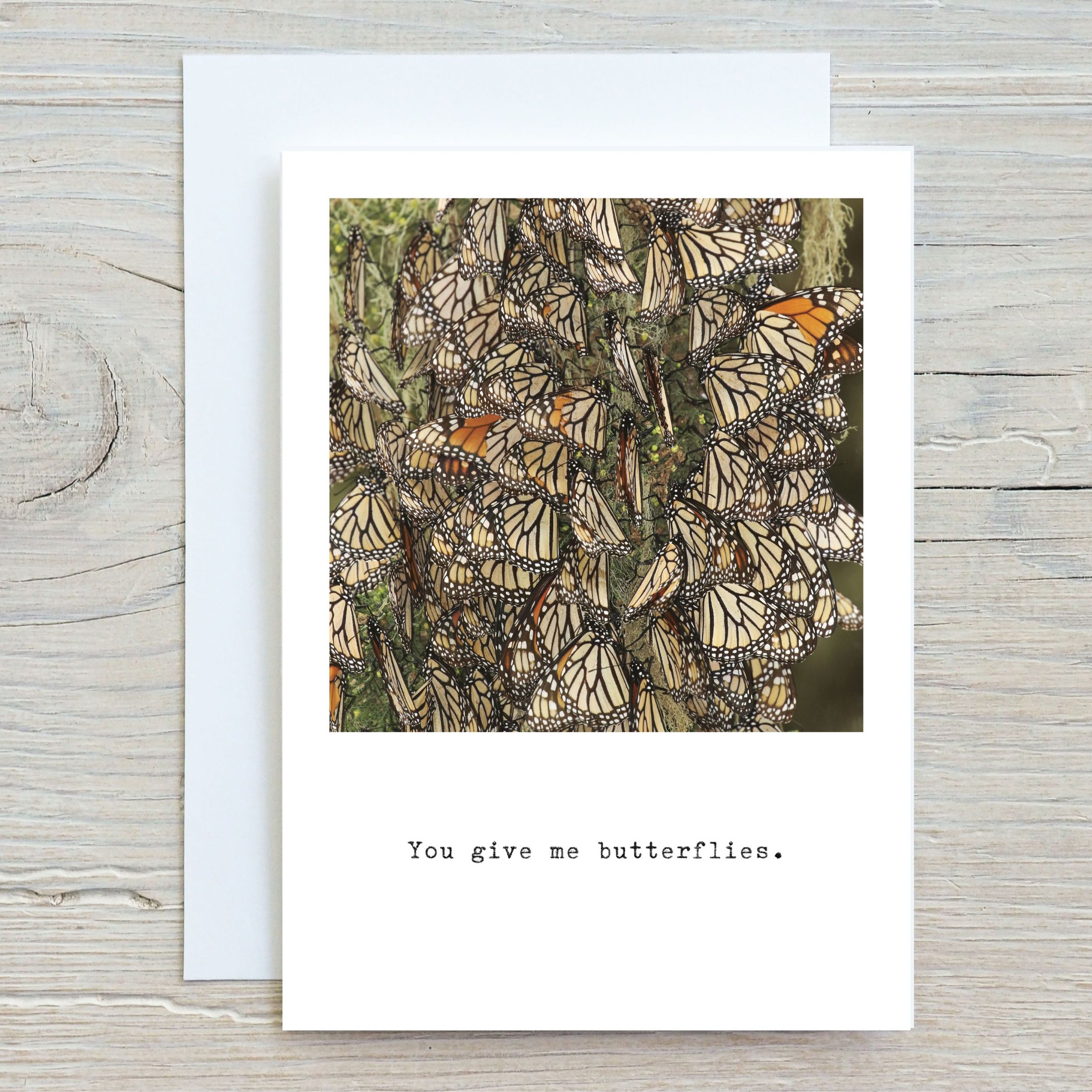 You give me butterflies. Monarch card