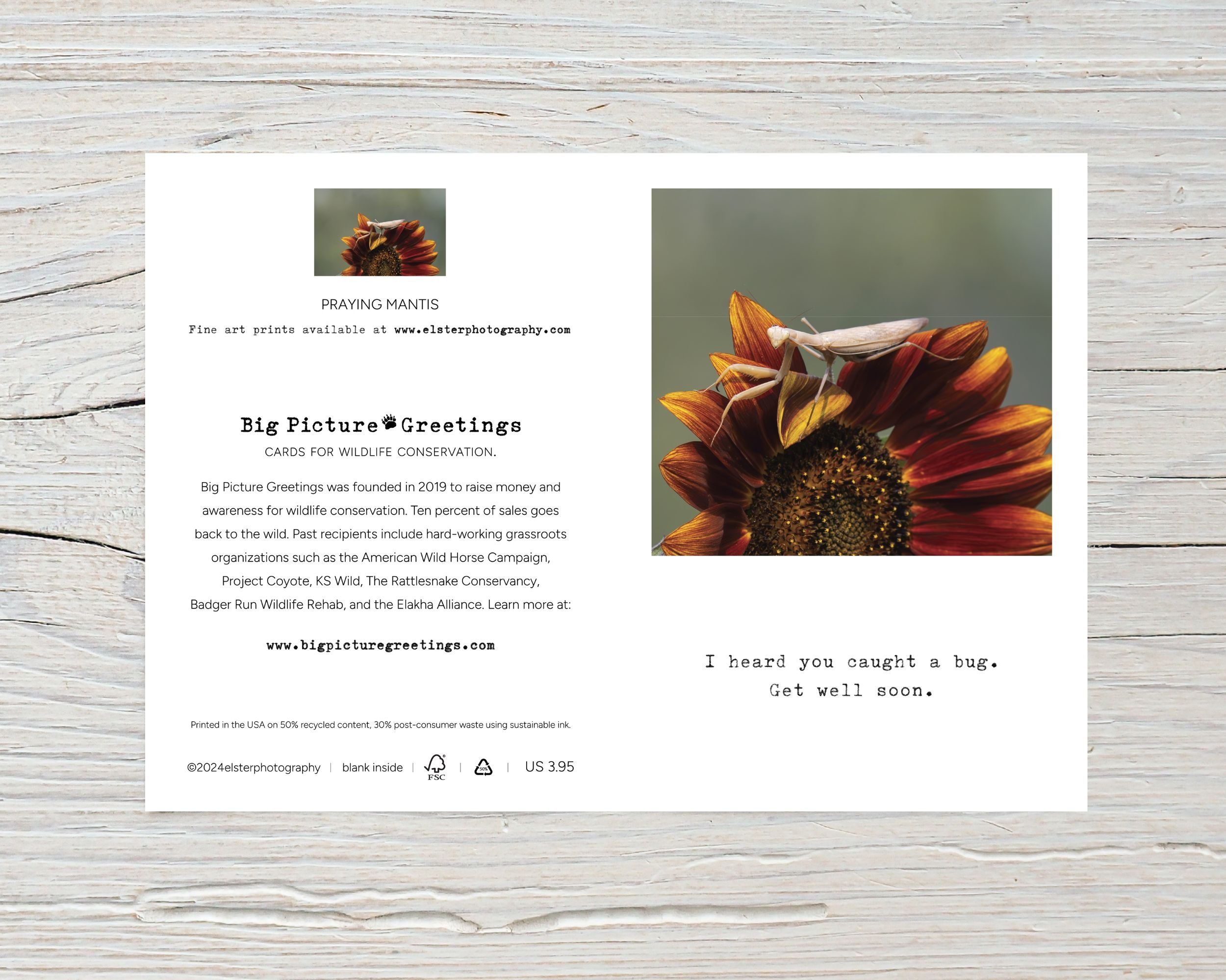 Untitled design - 2024-01-20T094548.957.jpg