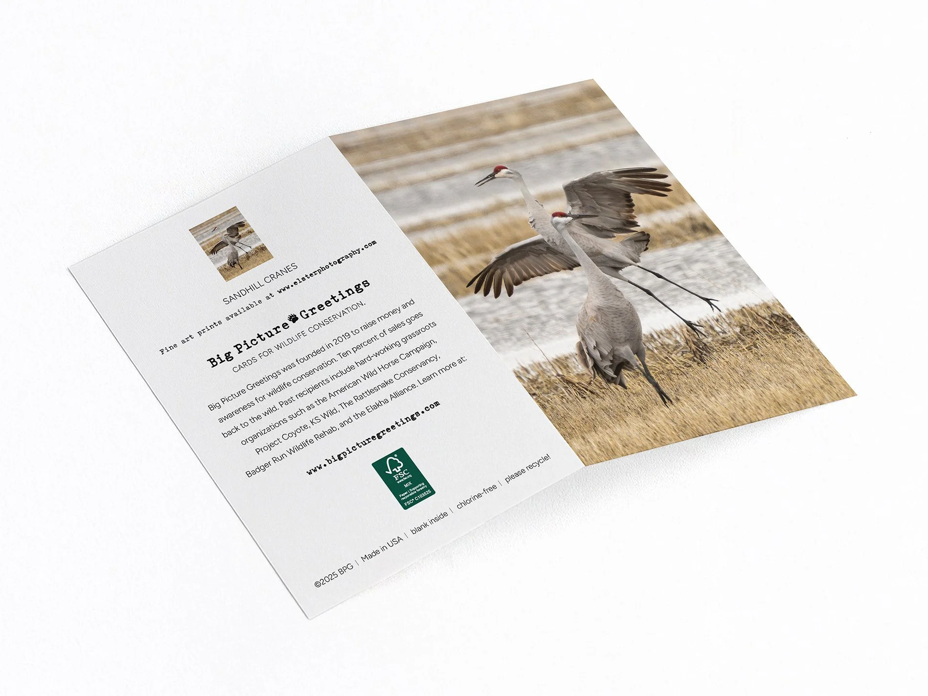 sandhill cranes finished mockjpeg.jpg