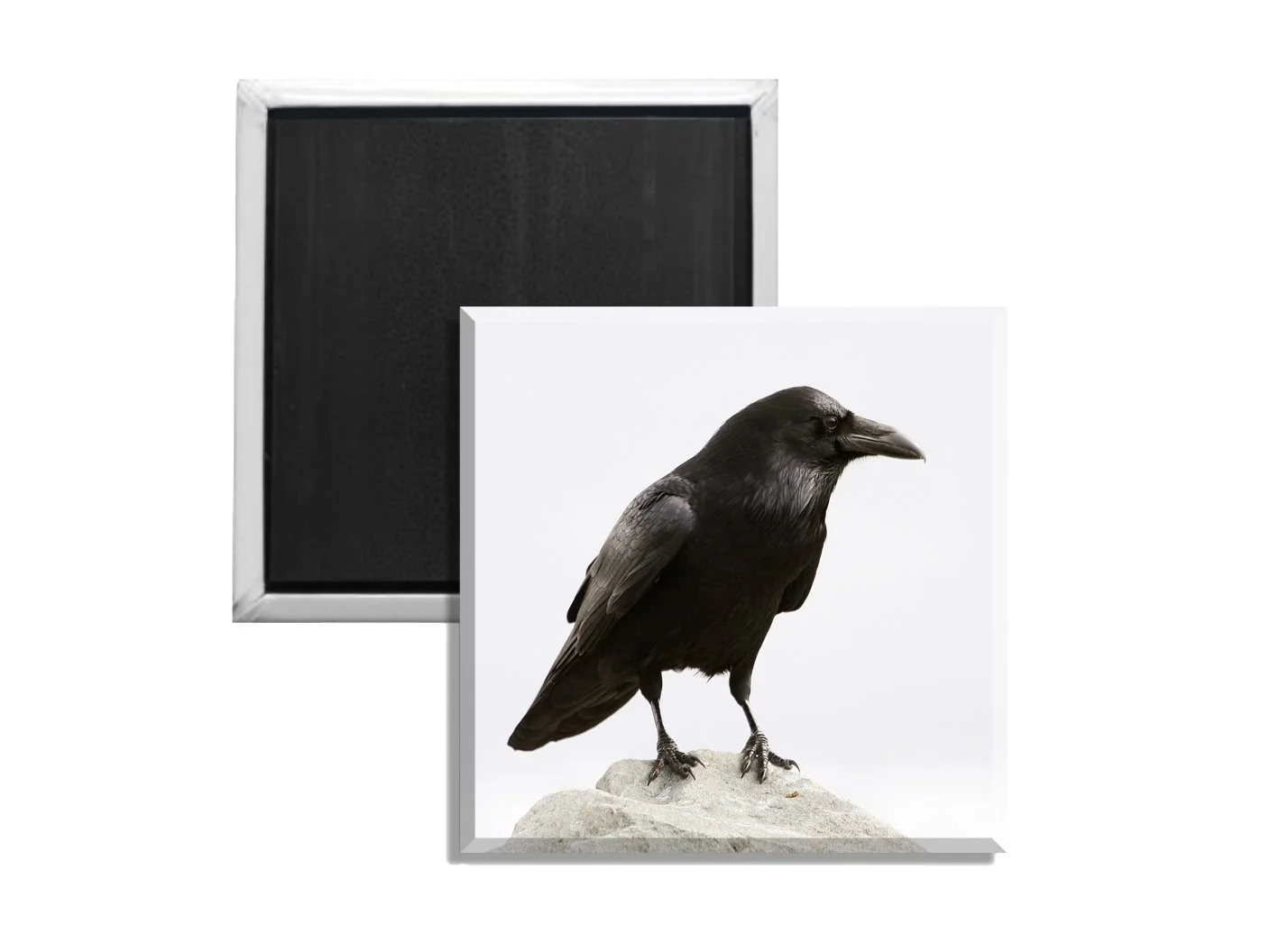 Raven One.jpg