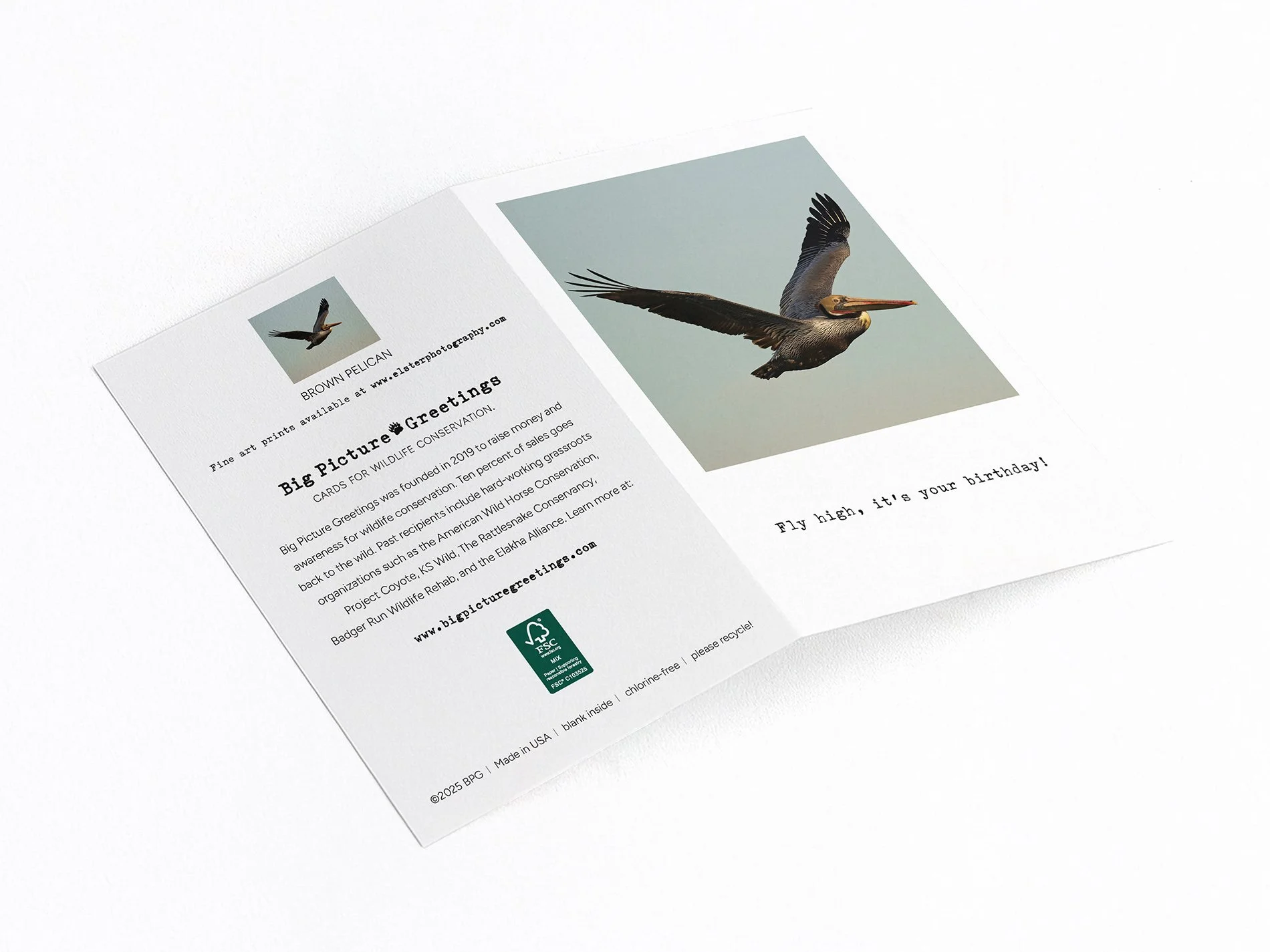 fly high finished mock jpeg.jpg