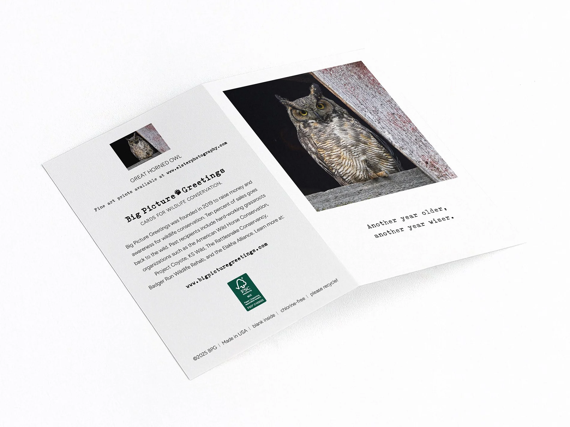 year wiser finished mockjpeg.jpg